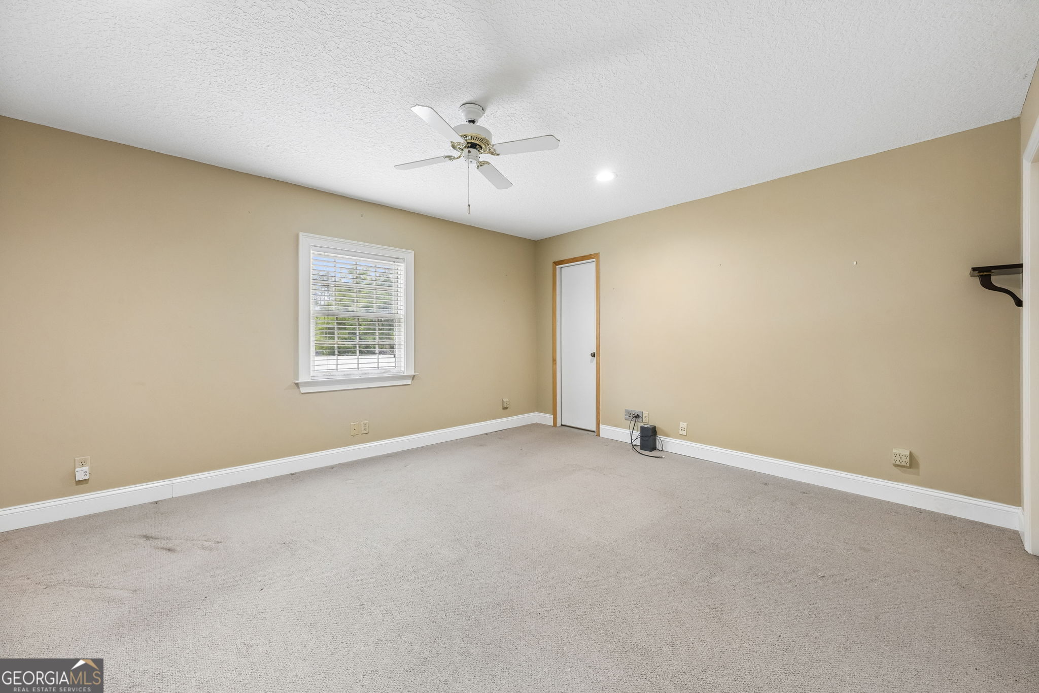 315 Martin Street Property Photo 50