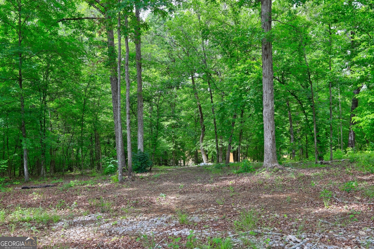 432 River Oak Drive Property Photo 19