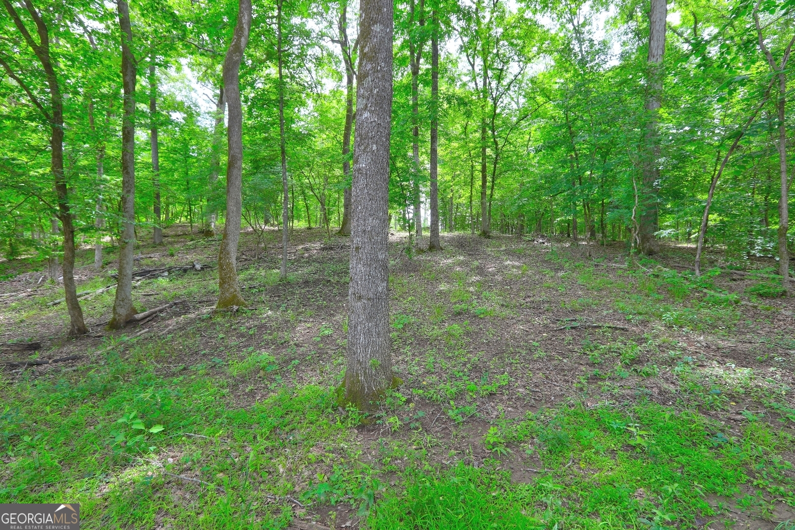 432 River Oak Drive Property Photo 25