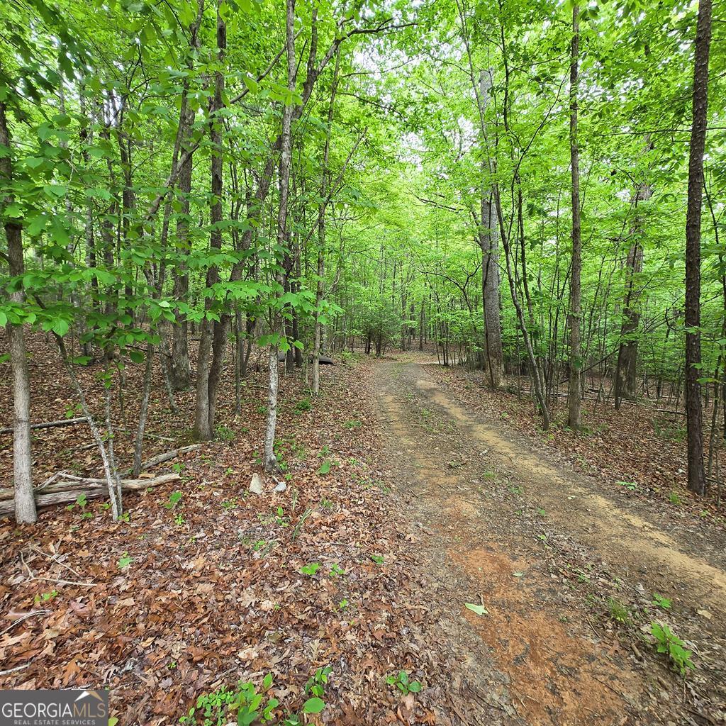 3.5acre Dusty Trail Property Photo 1