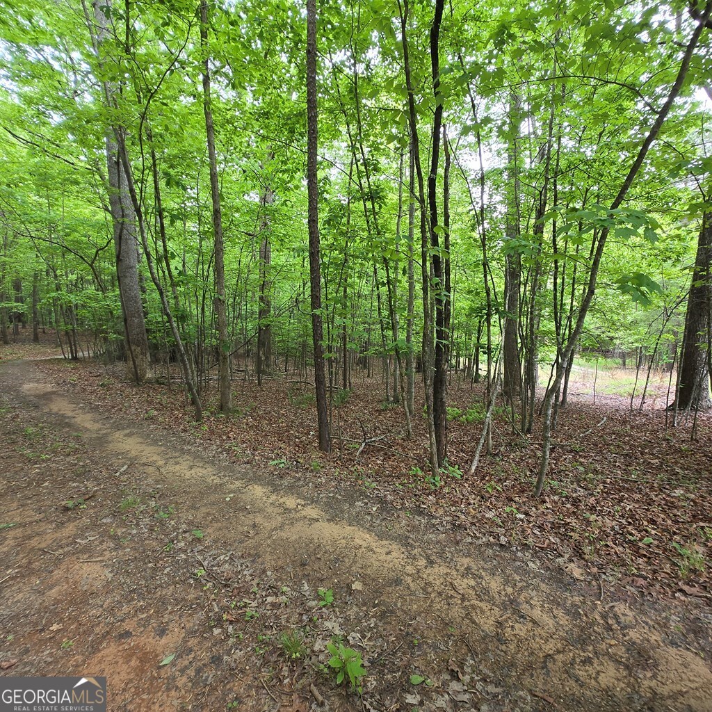 3.5acre Dusty Trail Property Photo 2