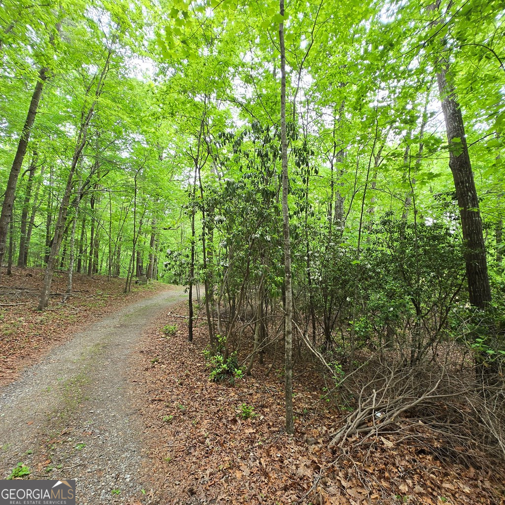 3.5acre Dusty Trail Property Photo 3