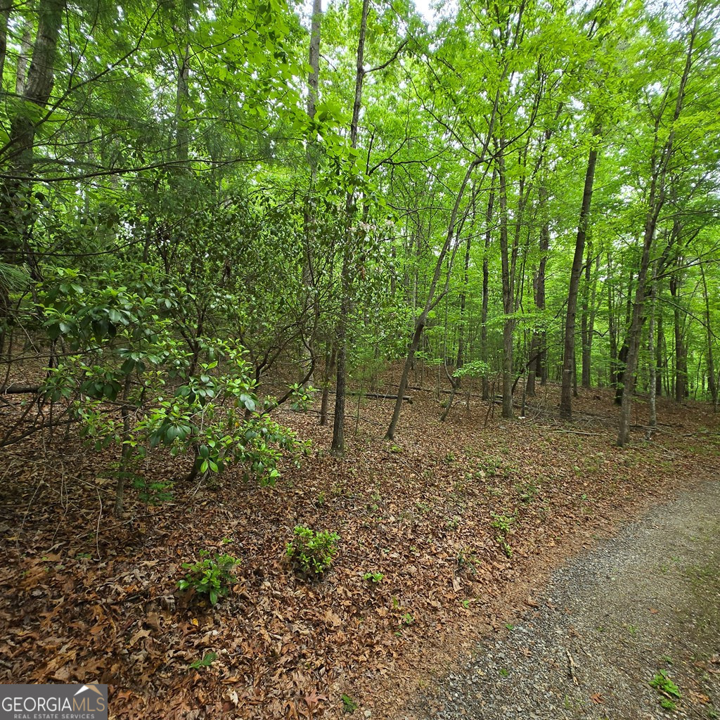 3.5acre Dusty Trail Property Photo 4