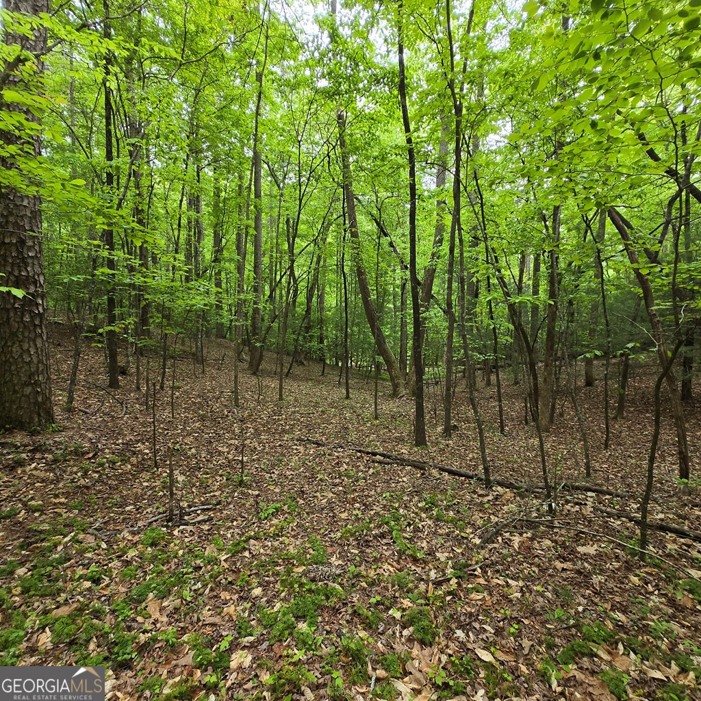 3.5acre Dusty Trail Property Photo 5
