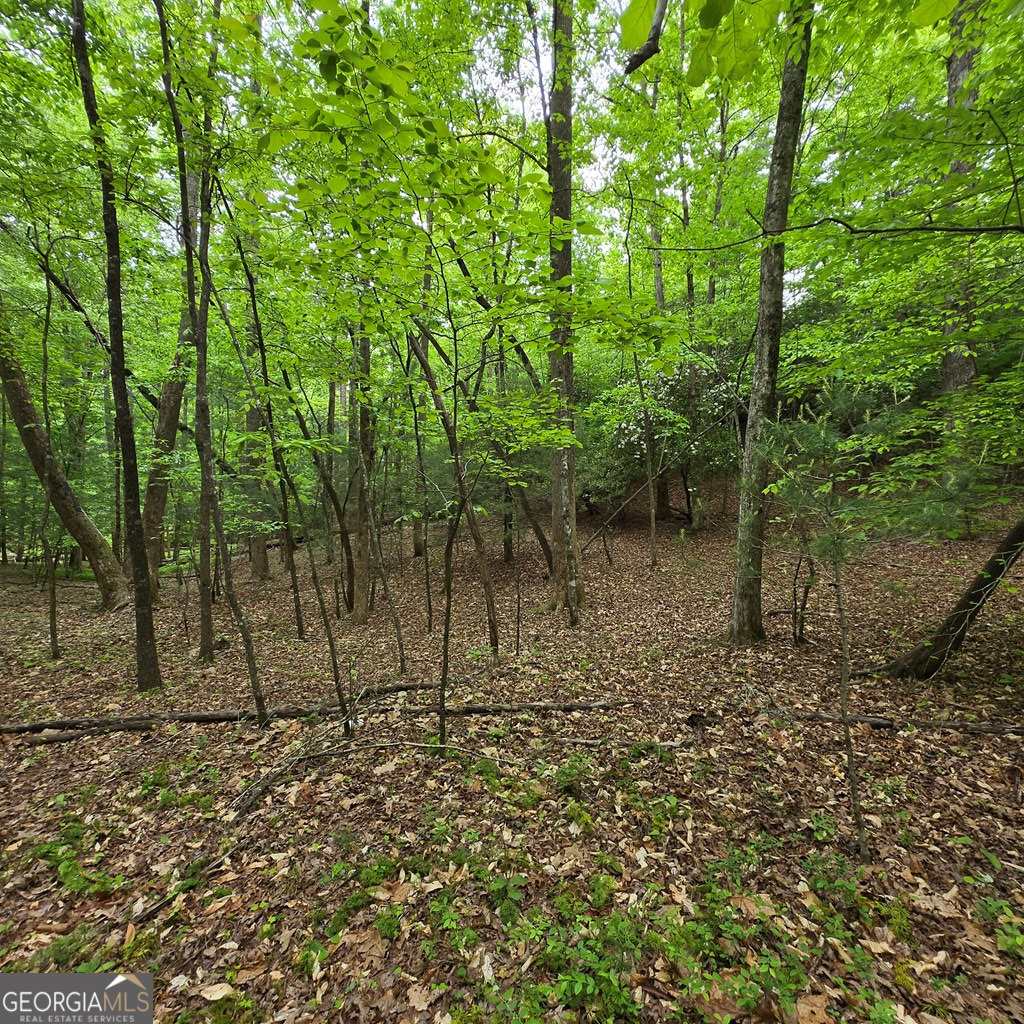 3.5acre Dusty Trail Property Photo 6