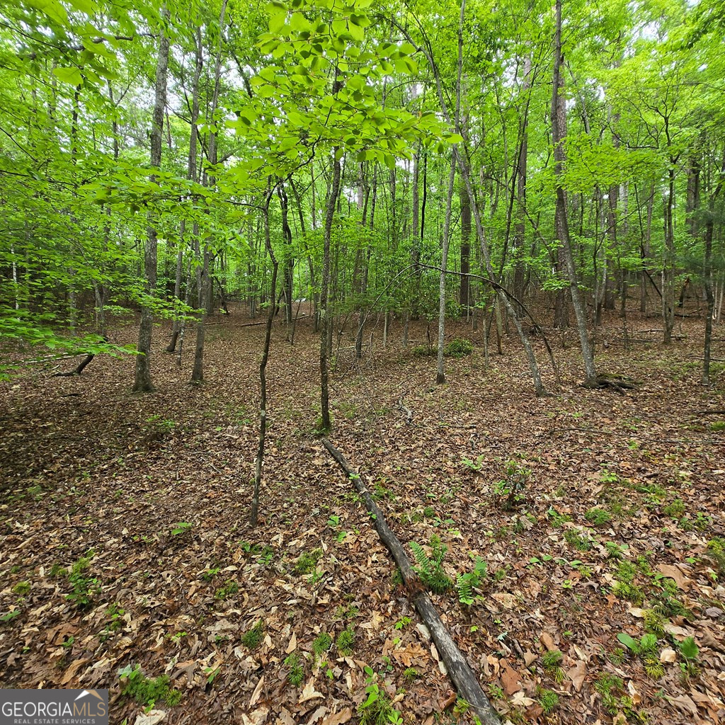 3.5acre Dusty Trail Property Photo 7
