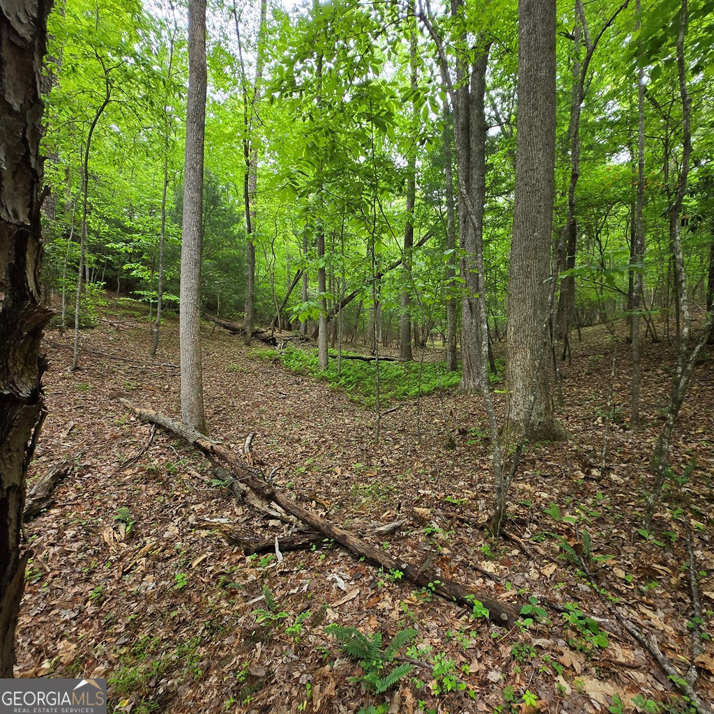 3.5acre Dusty Trail Property Photo 11