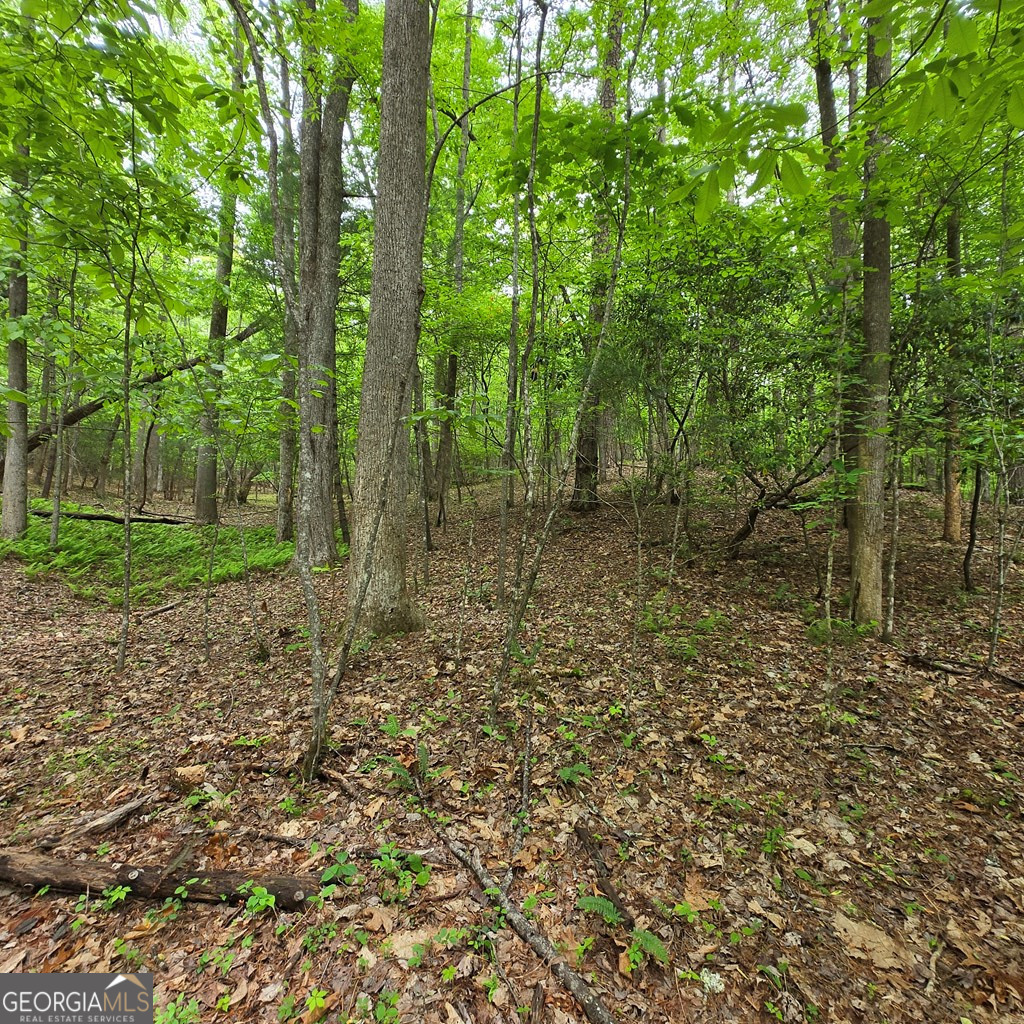 3.5acre Dusty Trail Property Photo 12