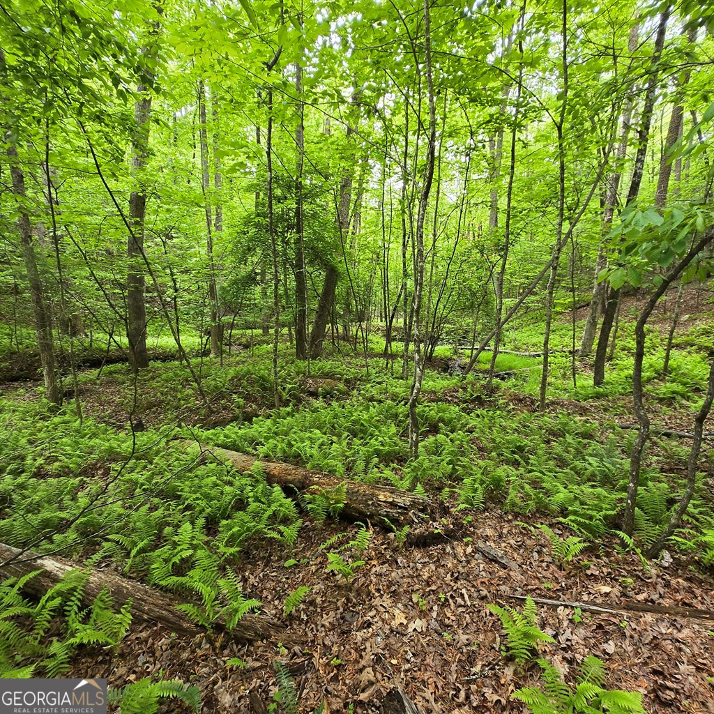 3.5acre Dusty Trail Property Photo 14