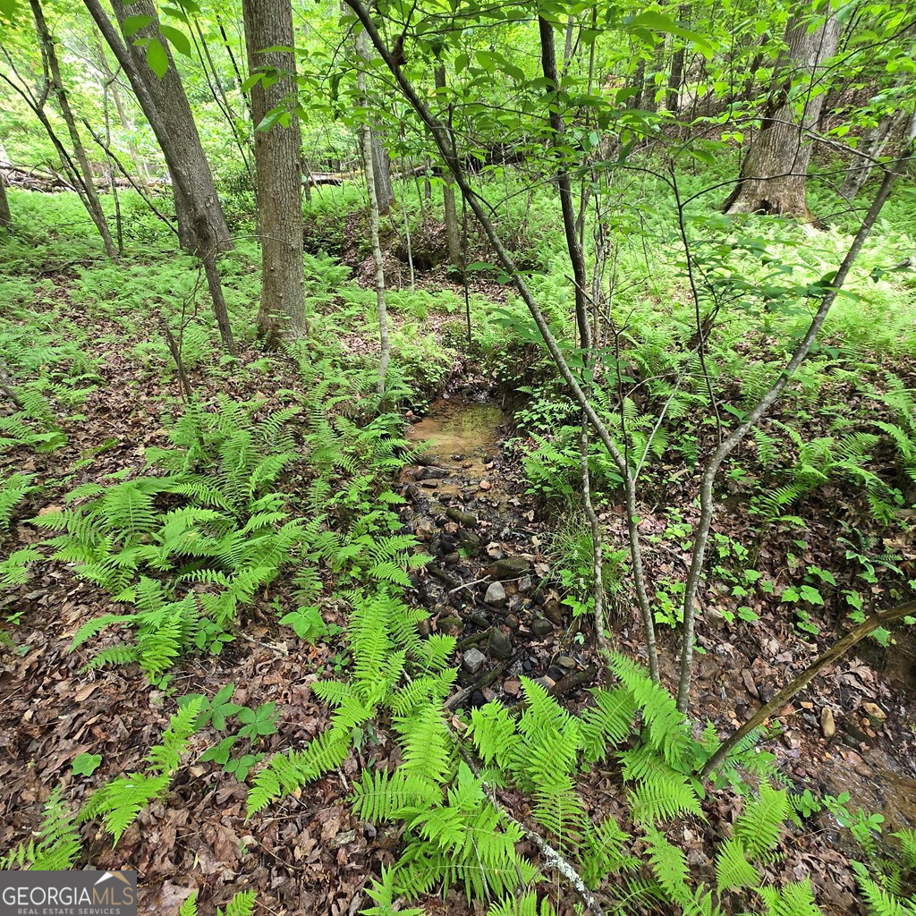 3.5acre Dusty Trail Property Photo 15