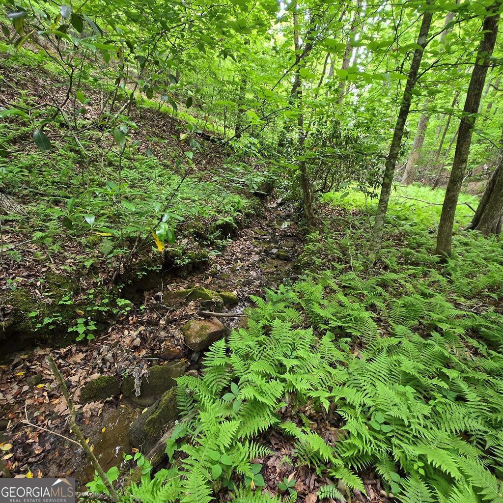 3.5acre Dusty Trail Property Photo 17