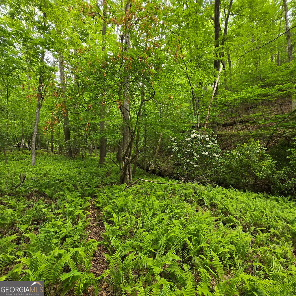 3.5acre Dusty Trail Property Photo 22