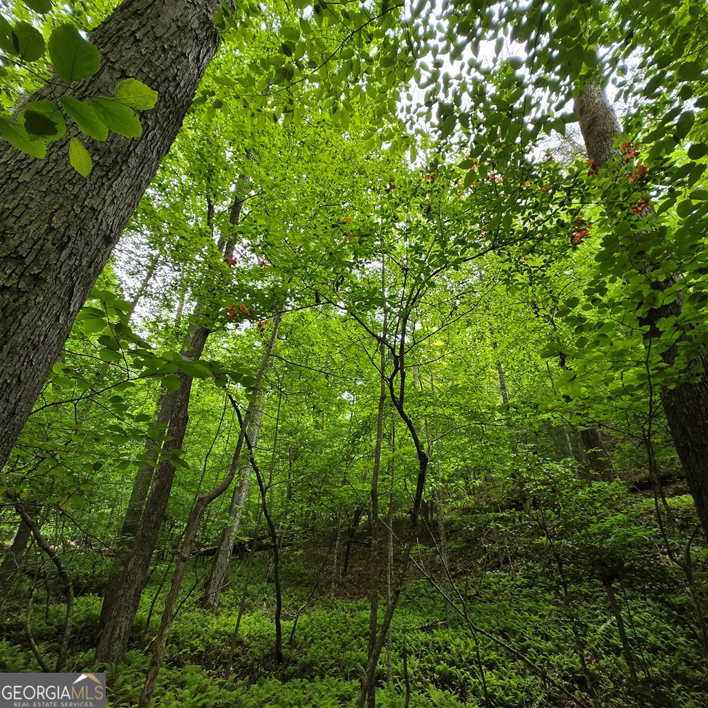3.5acre Dusty Trail Property Photo 23
