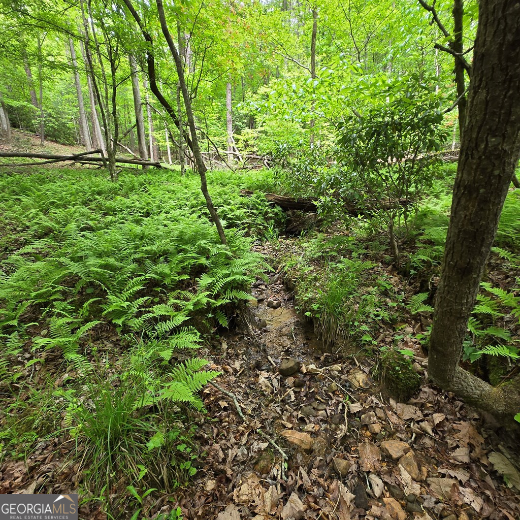 3.5acre Dusty Trail Property Photo 24