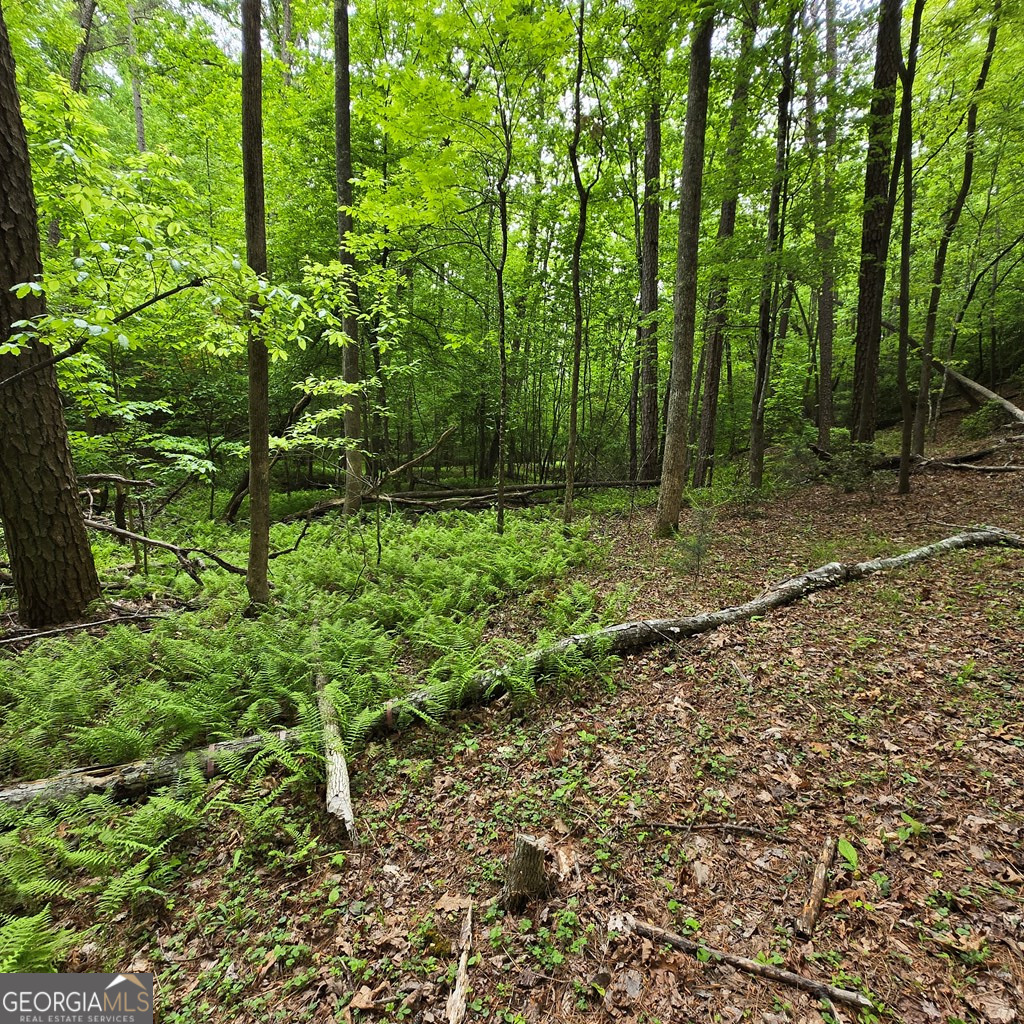 3.5acre Dusty Trail Property Photo 25