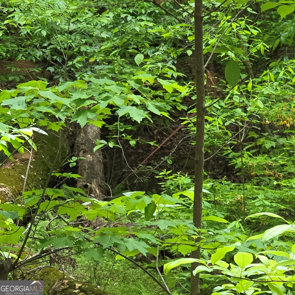 3.5acre Dusty Trail Property Photo 27