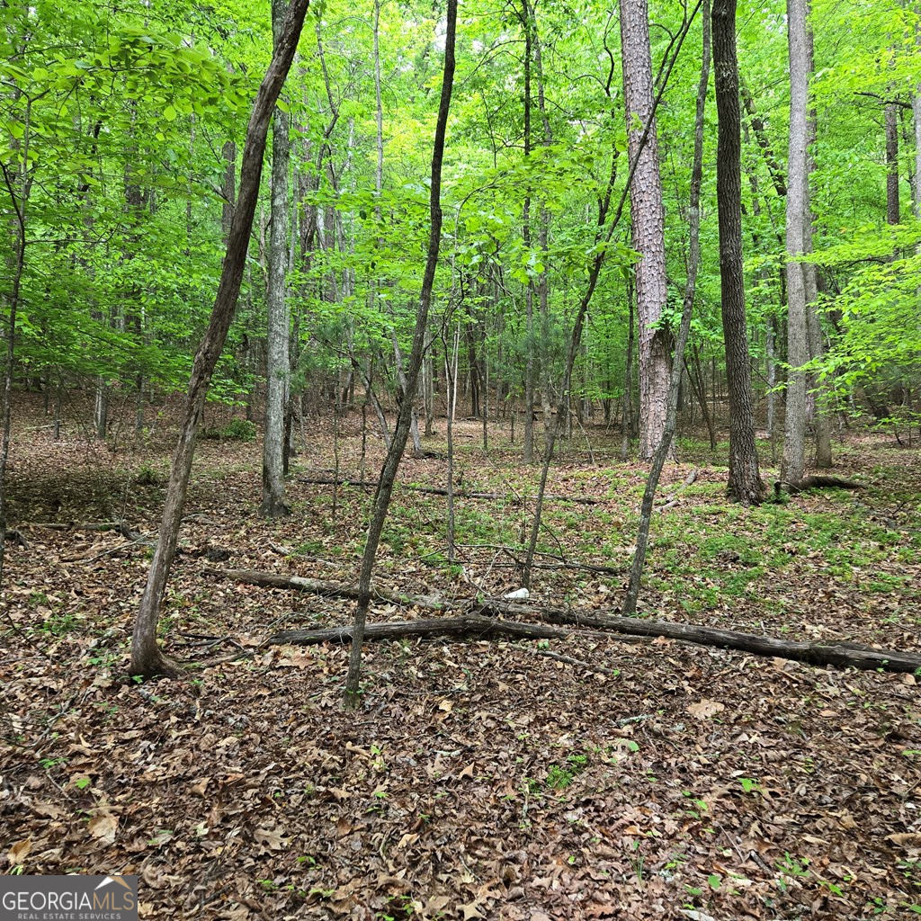 3.5acre Dusty Trail Property Photo 28