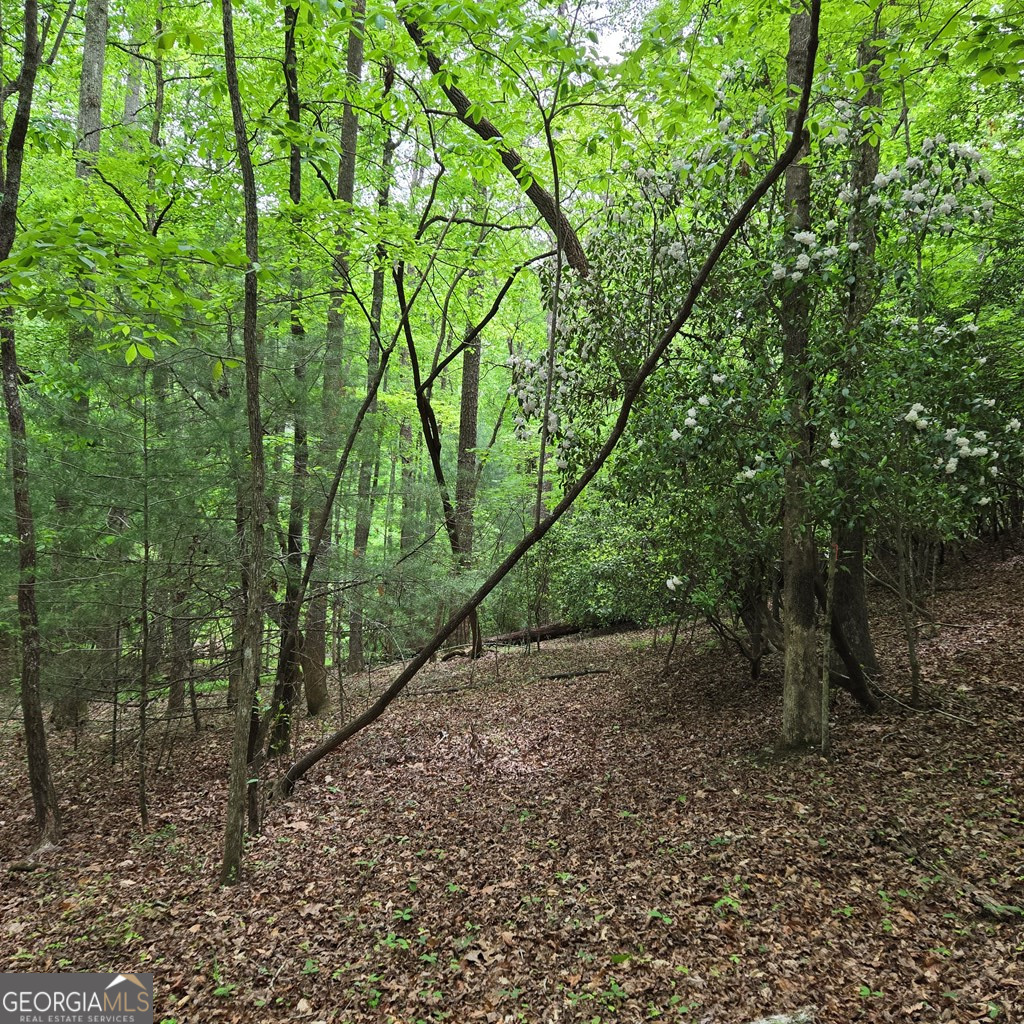 3.5acre Dusty Trail Property Photo 29