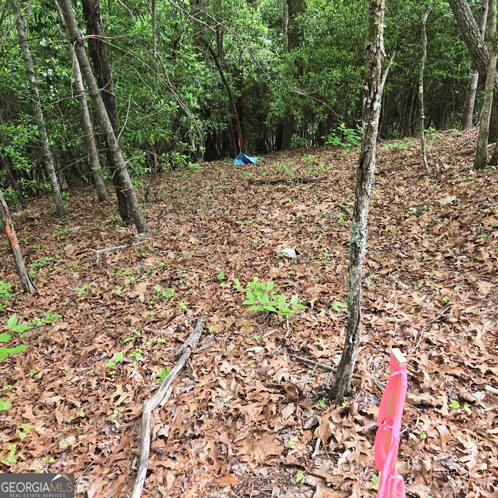 3.5acre Dusty Trail Property Photo 30
