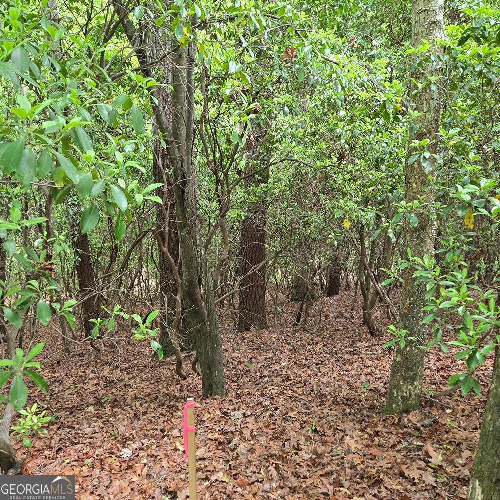 3.5acre Dusty Trail Property Photo 31