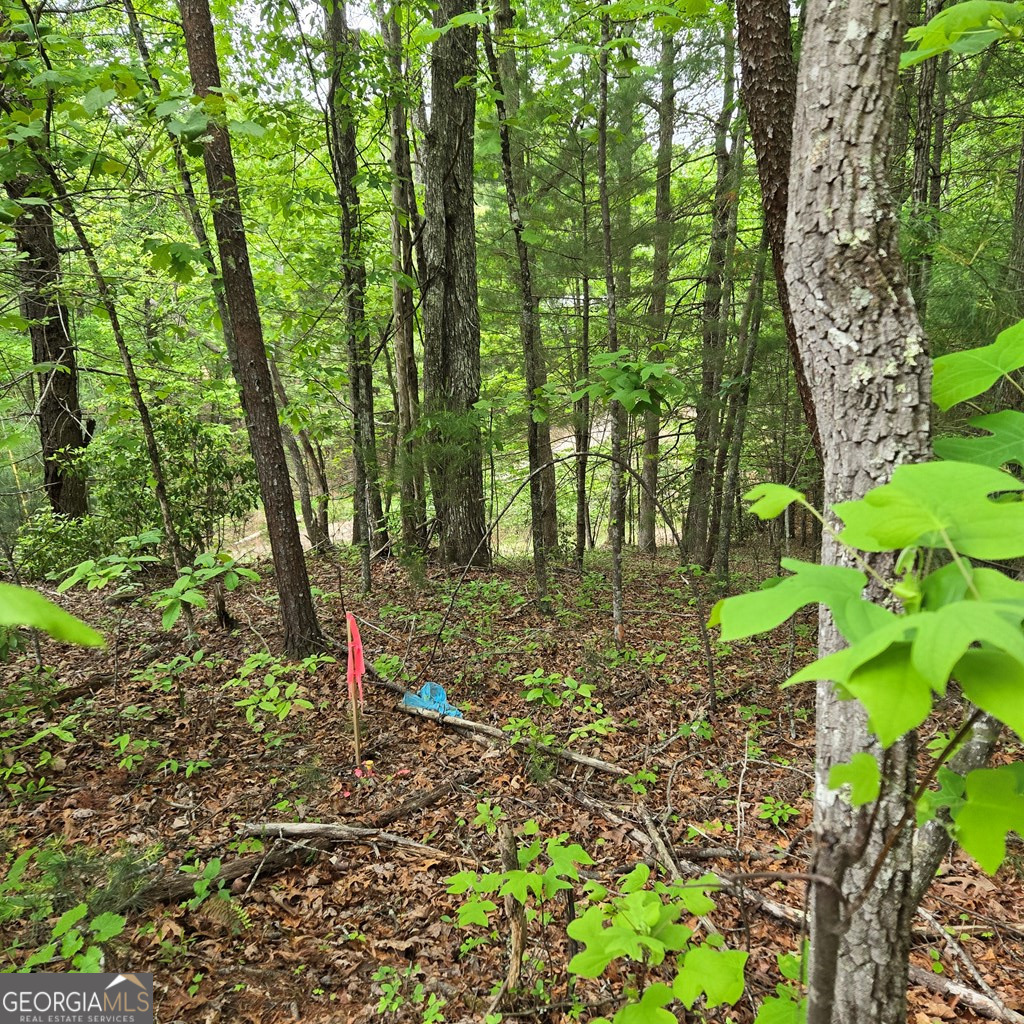 3.5acre Dusty Trail Property Photo 32