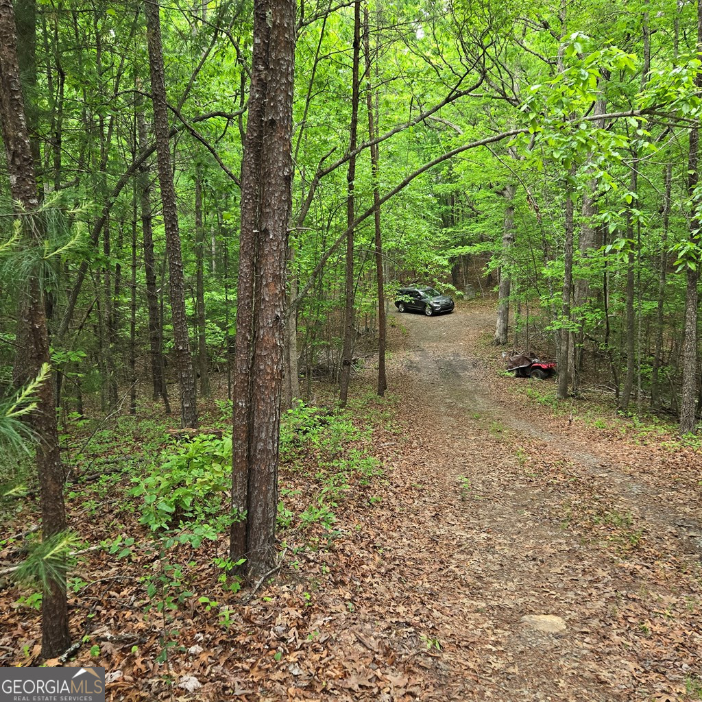 3.5acre Dusty Trail Property Photo 33