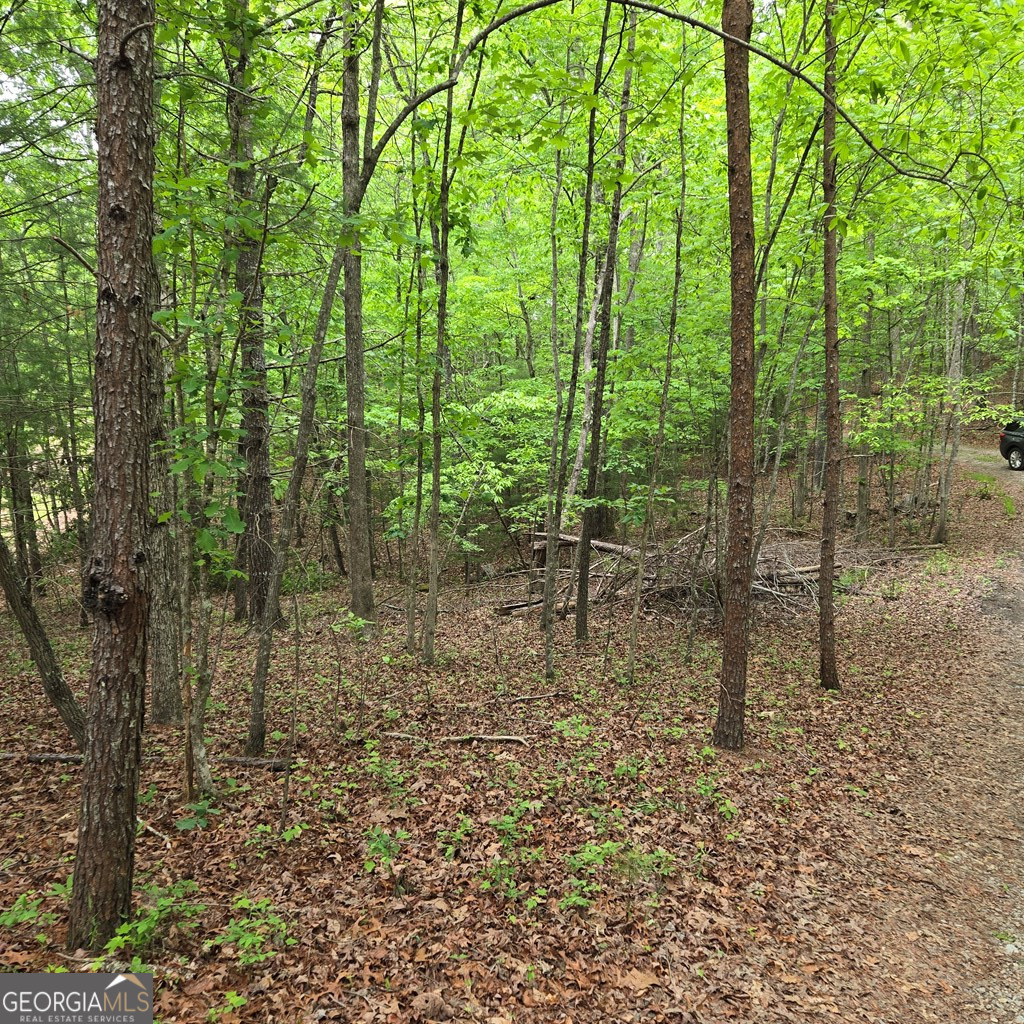 3.5acre Dusty Trail Property Photo 34