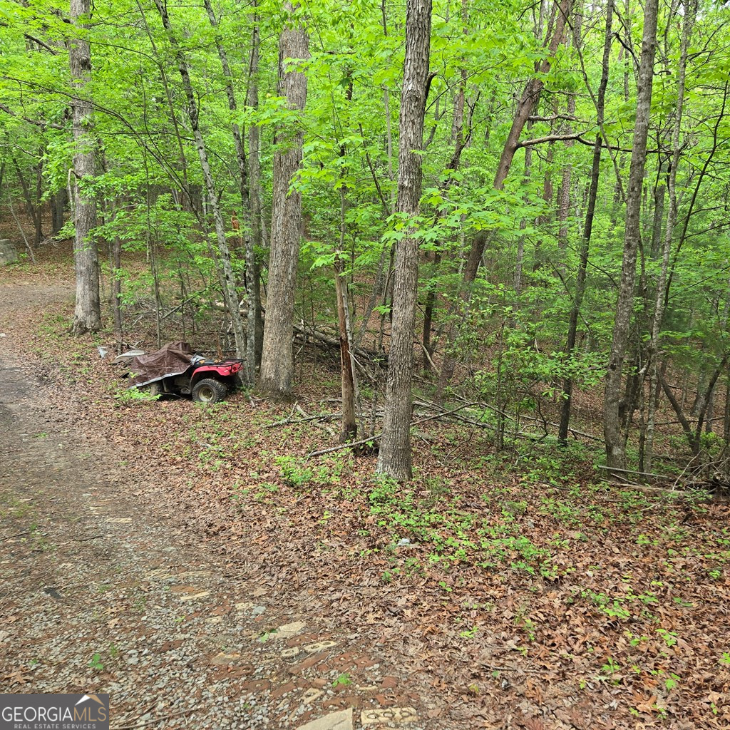 3.5acre Dusty Trail Property Photo 35