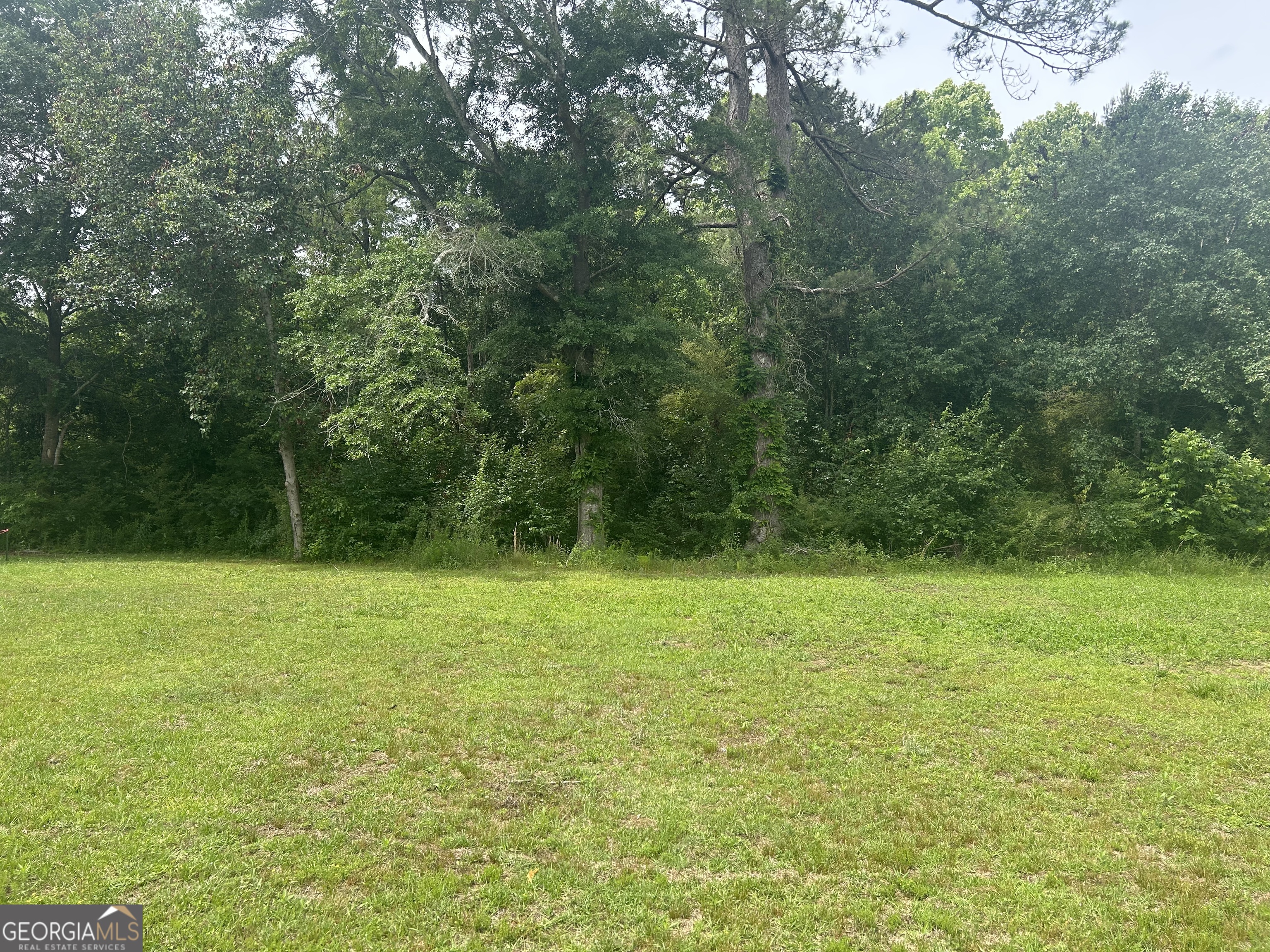 1277 Ga Hwy-112 Property Photo 3