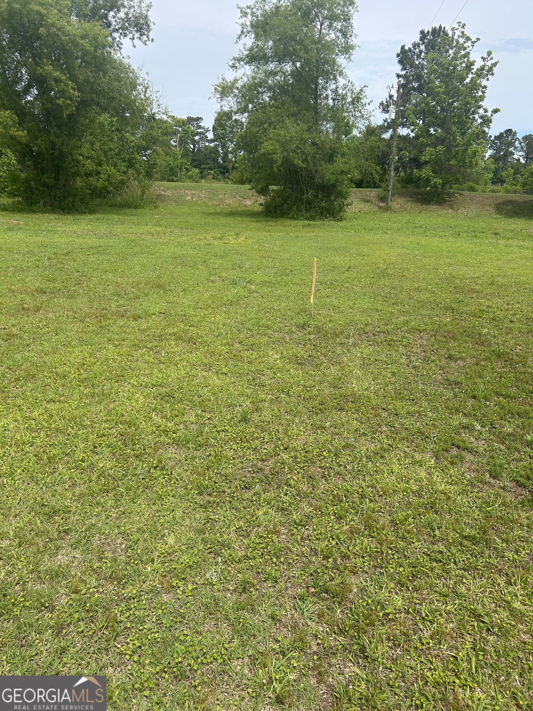 1277 Ga Hwy-112 Property Photo 4