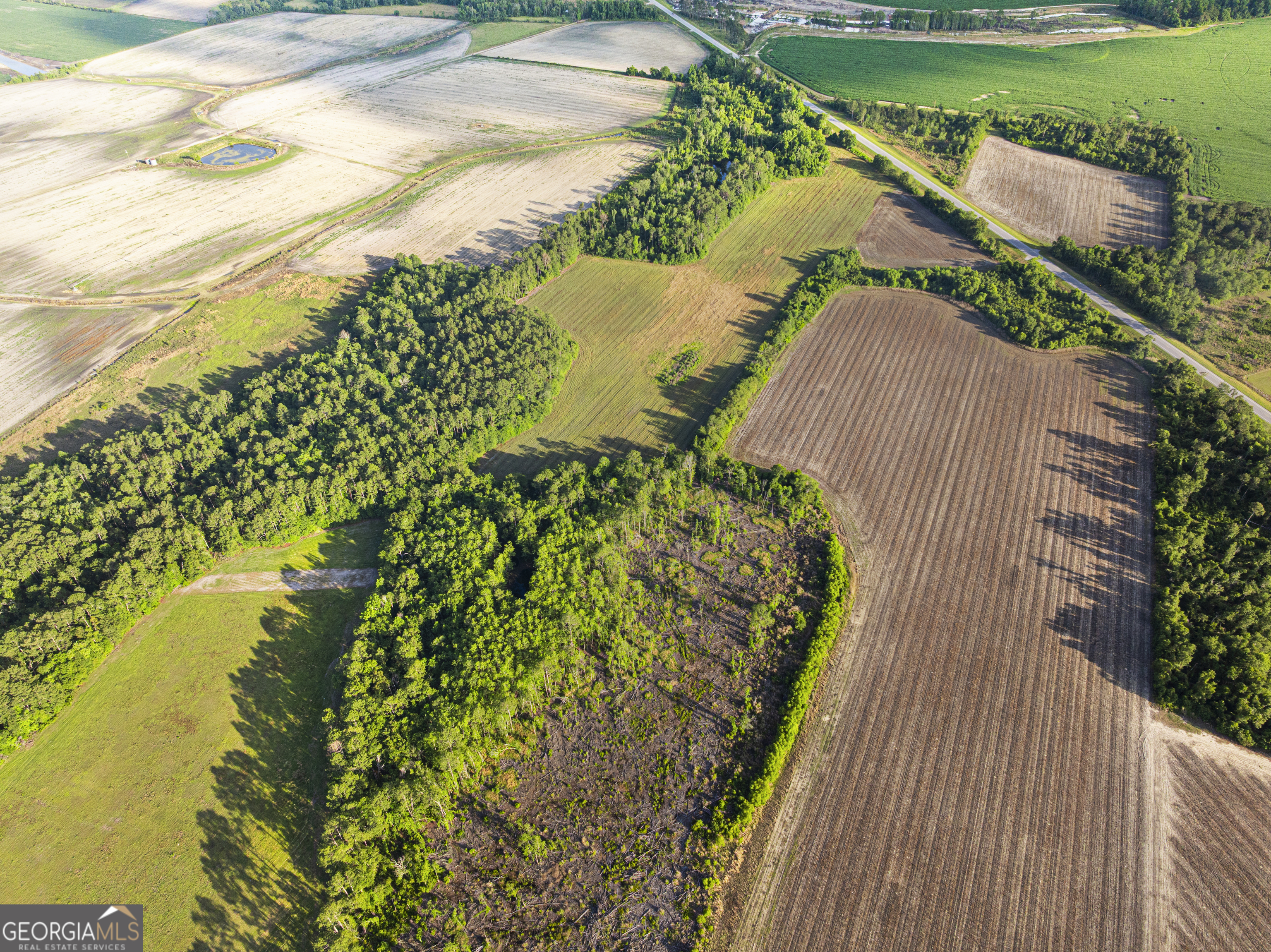 0 Douglas Highway Property Photo 4