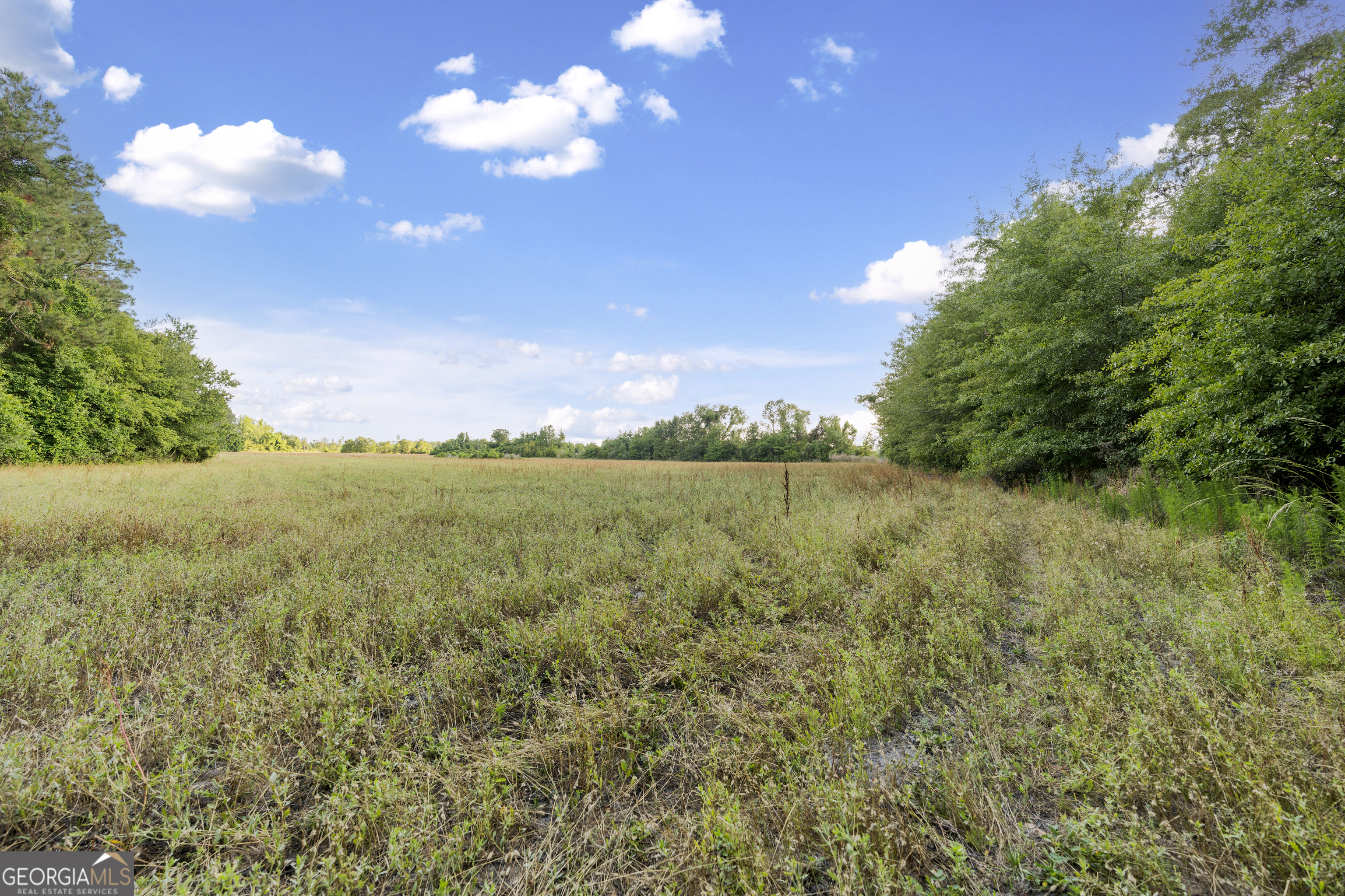 0 Douglas Highway Property Photo 5