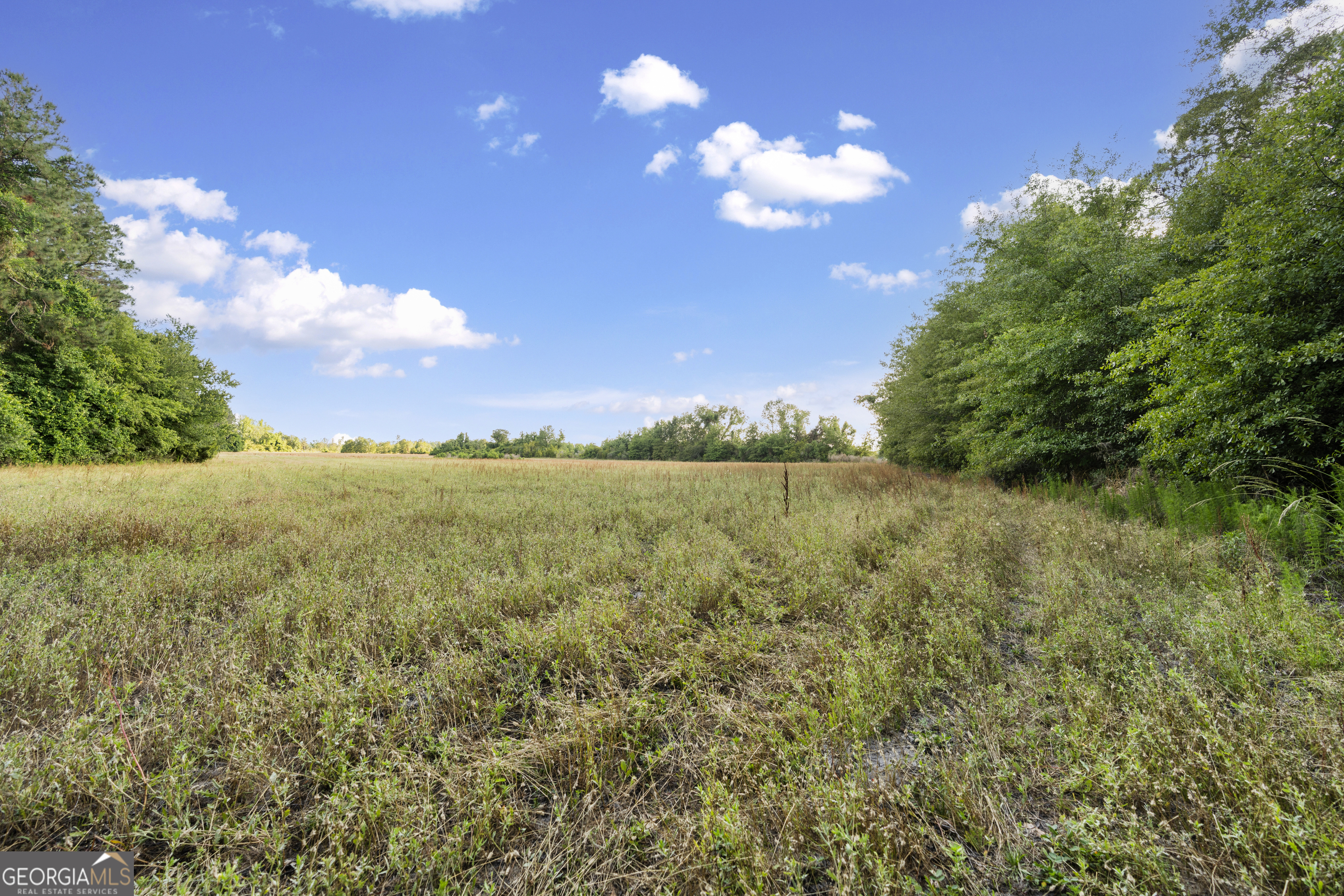 0 Douglas Highway Property Photo 6