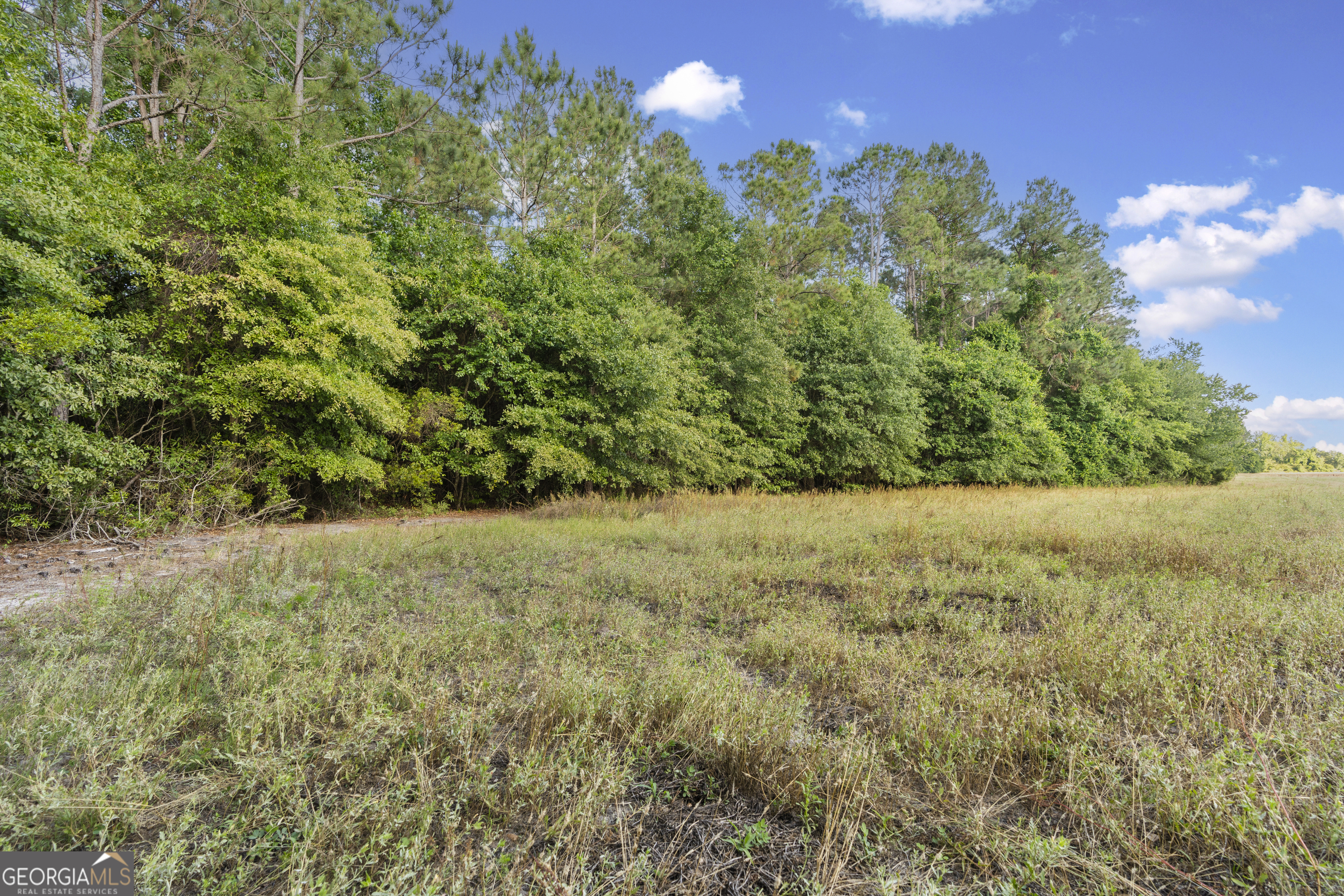 0 Douglas Highway Property Photo 7
