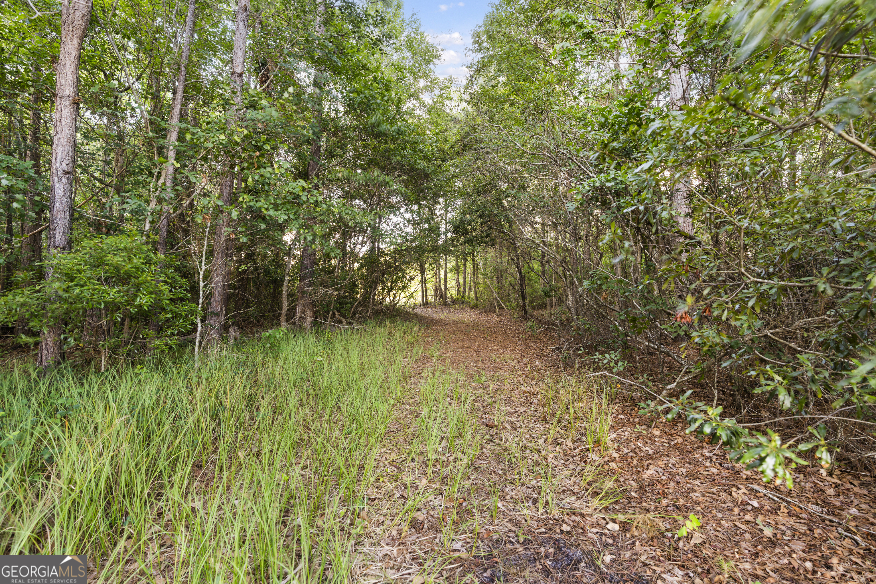 0 Douglas Highway Property Photo 8