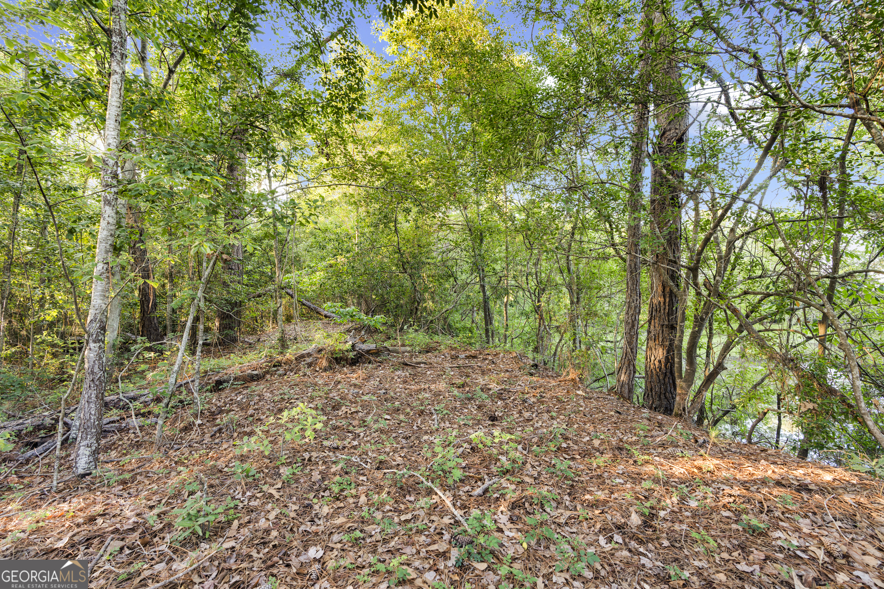 0 Douglas Highway Property Photo 11