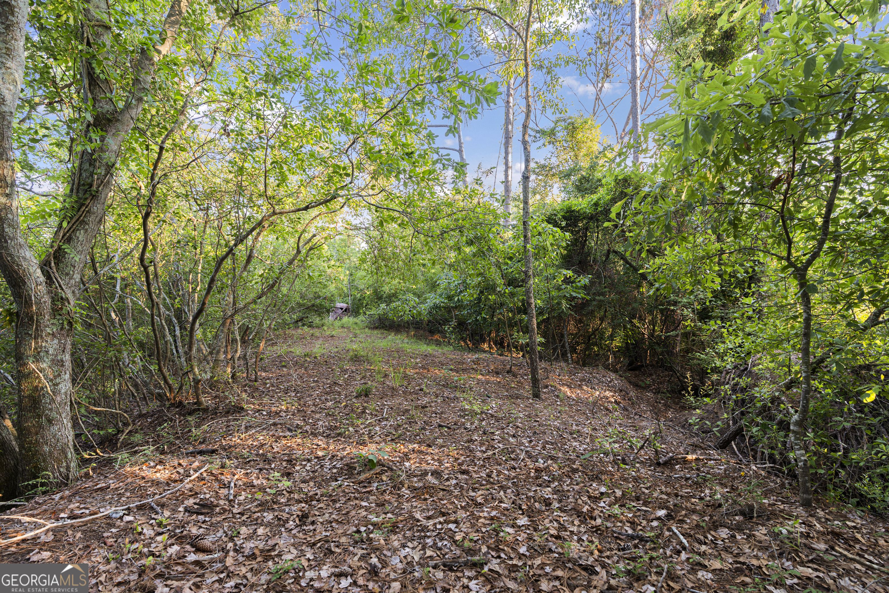 0 Douglas Highway Property Photo 12