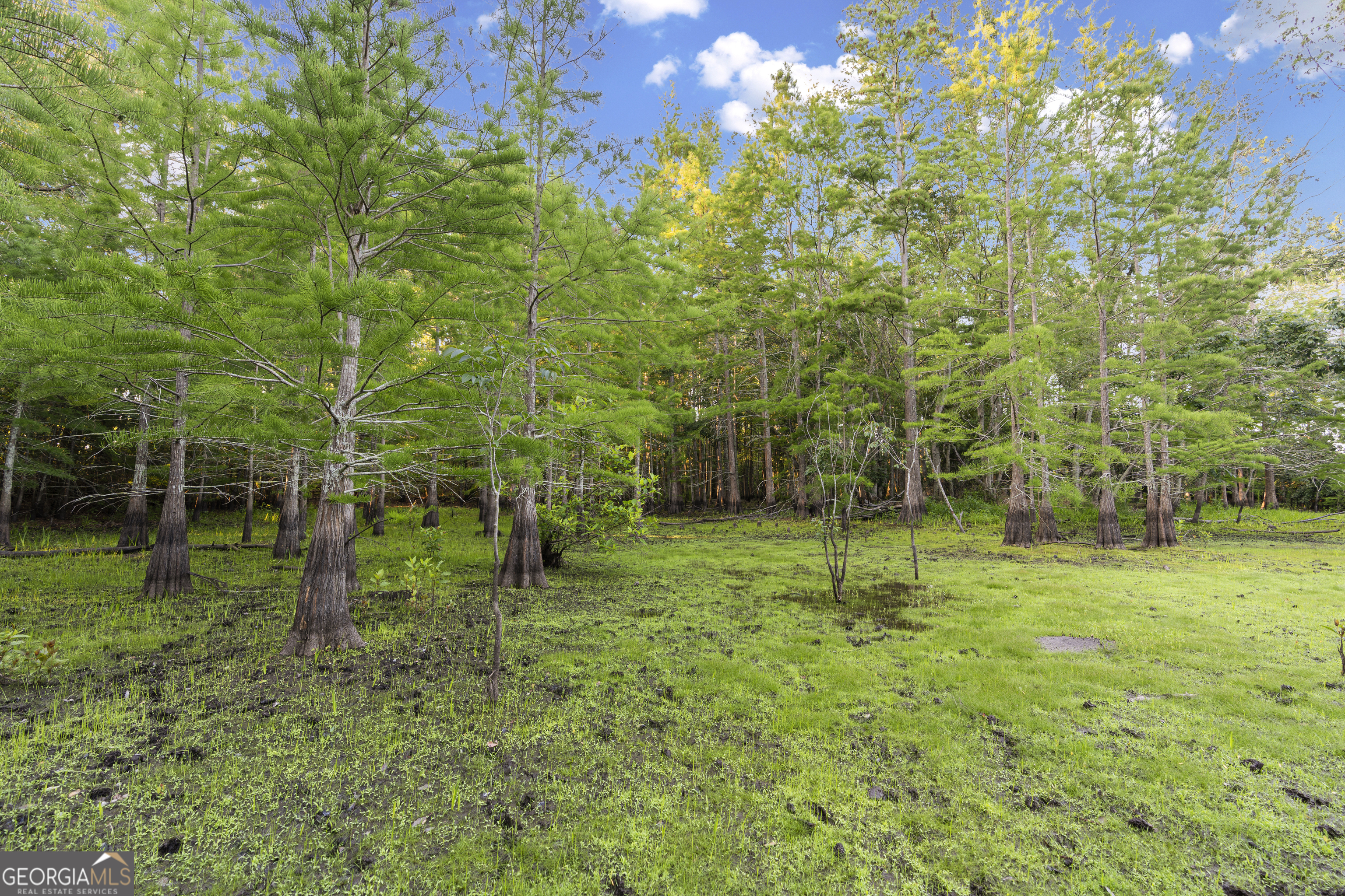 0 Douglas Highway Property Photo 16