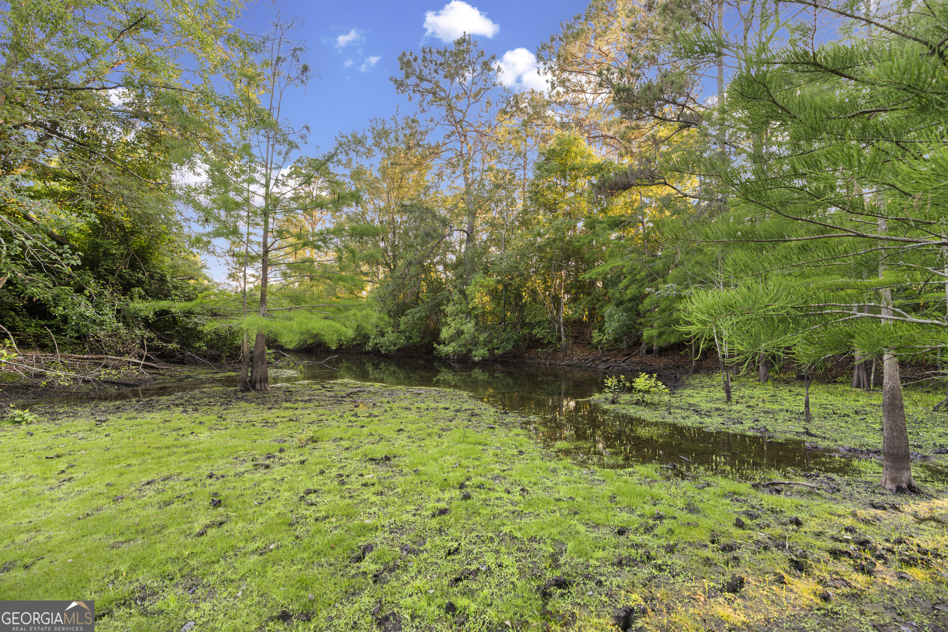 0 Douglas Highway Property Photo 17