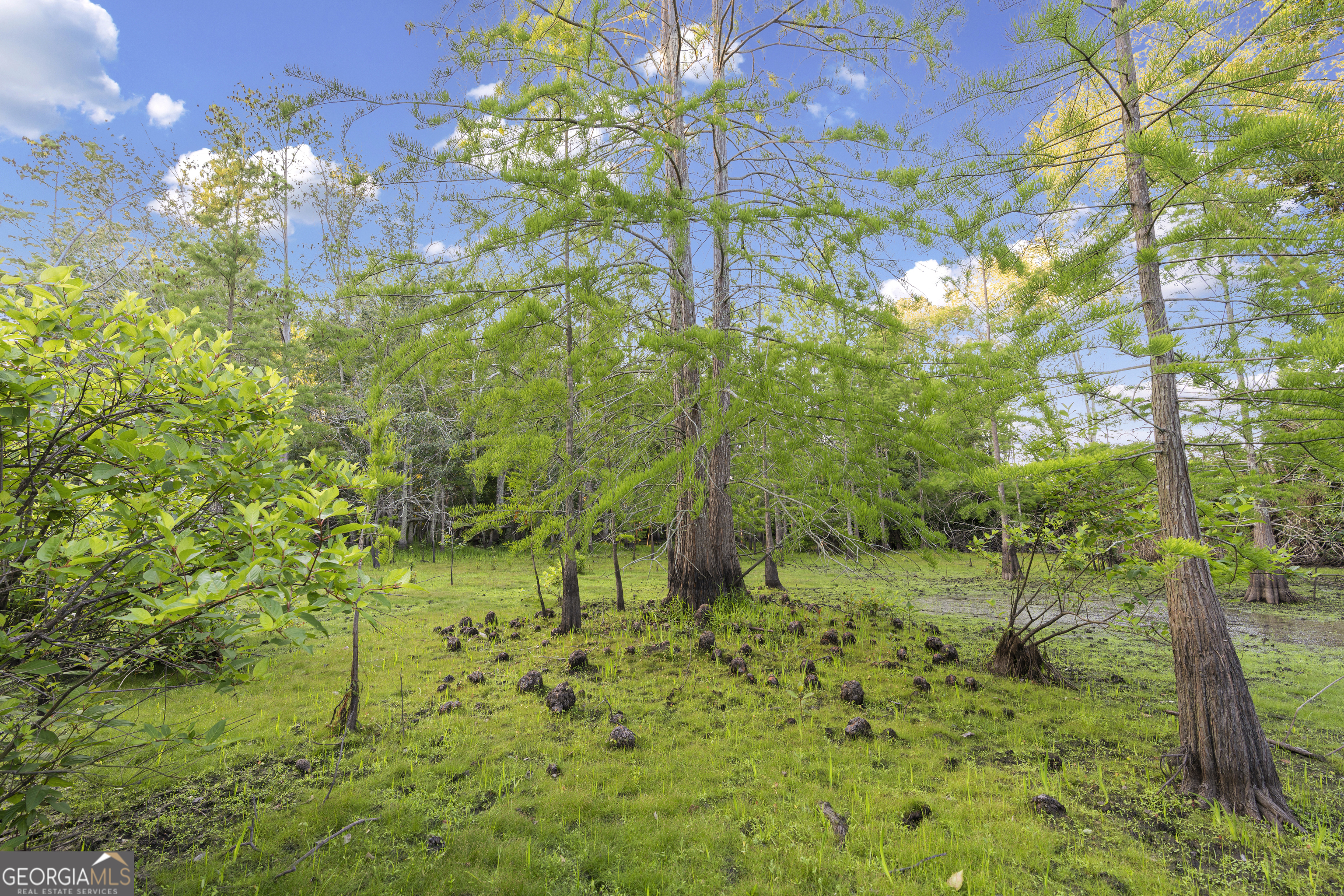 0 Douglas Highway Property Photo 18