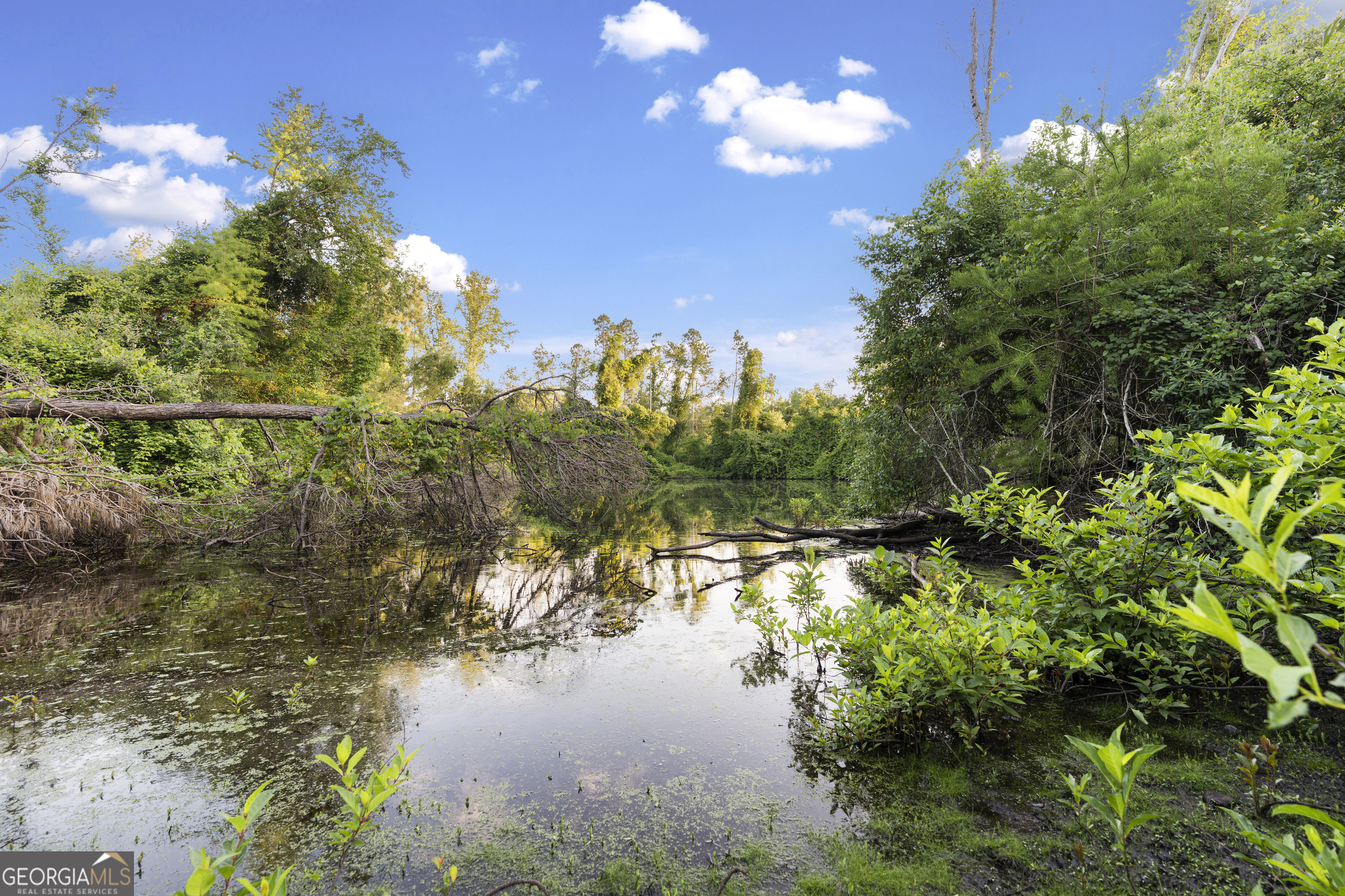 0 Douglas Highway Property Photo 19