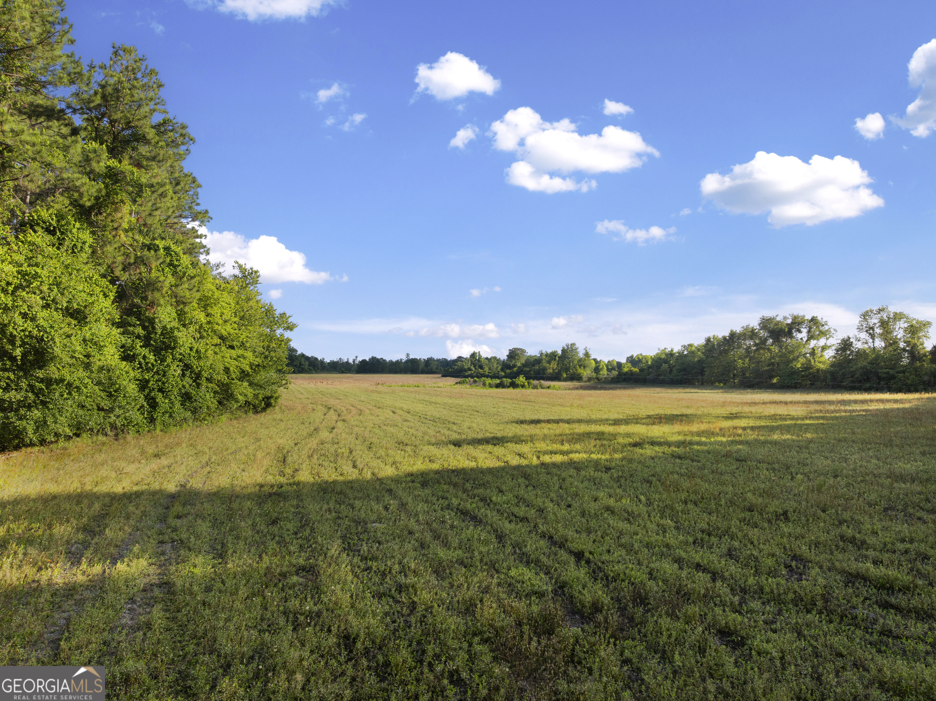 0 Douglas Highway Property Photo 20