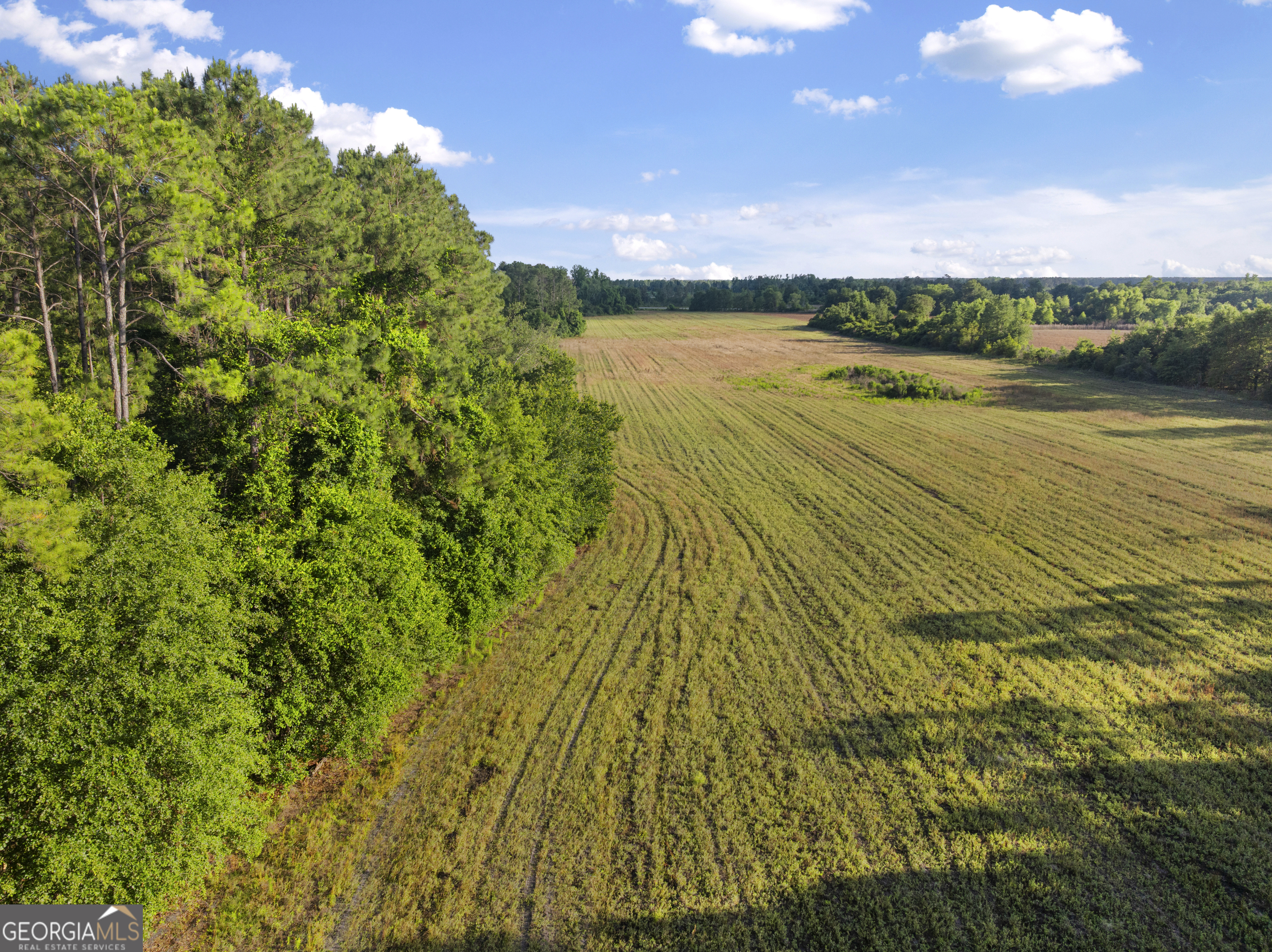 0 Douglas Highway Property Photo 21
