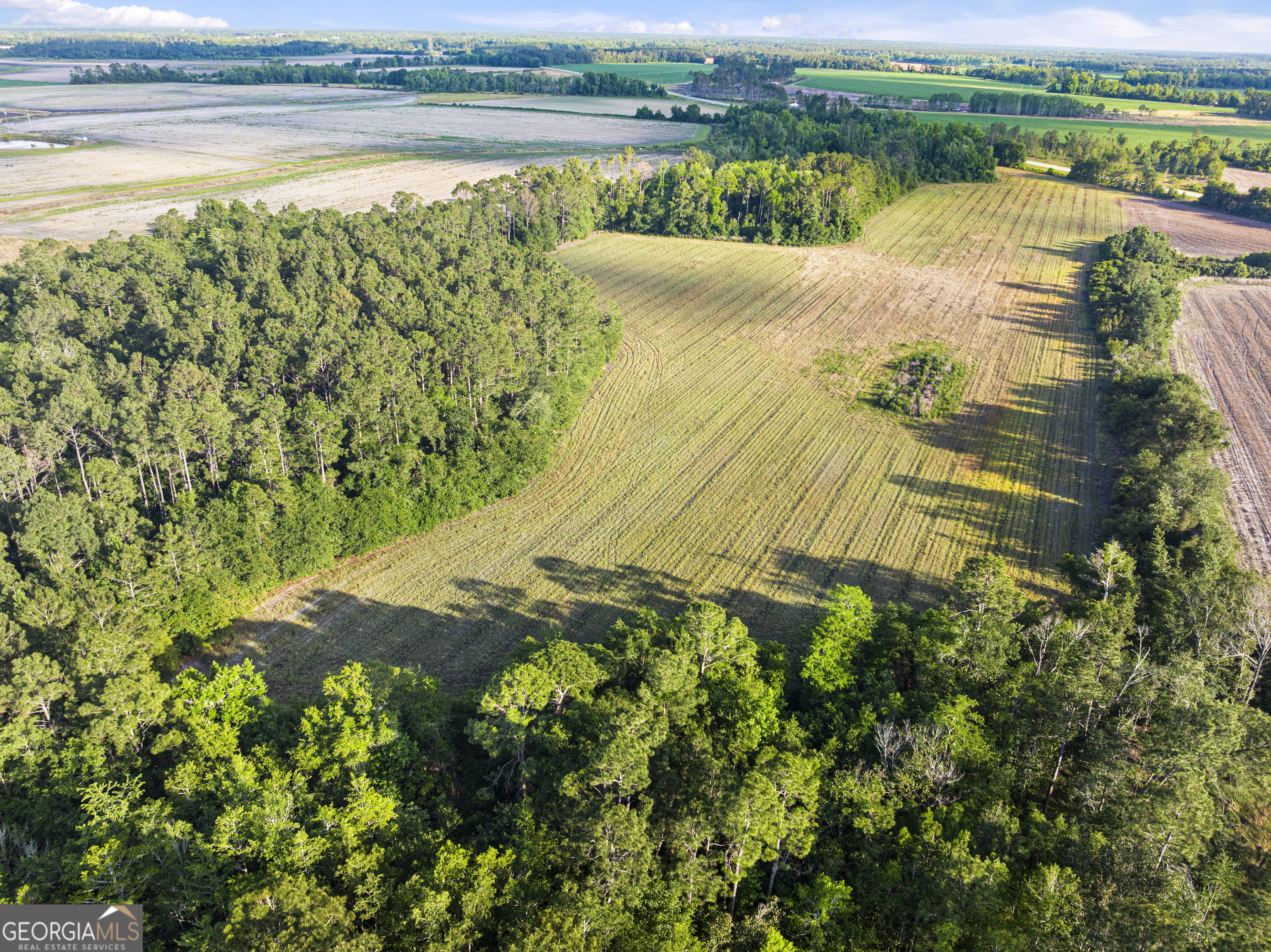 0 Douglas Highway Property Photo 24