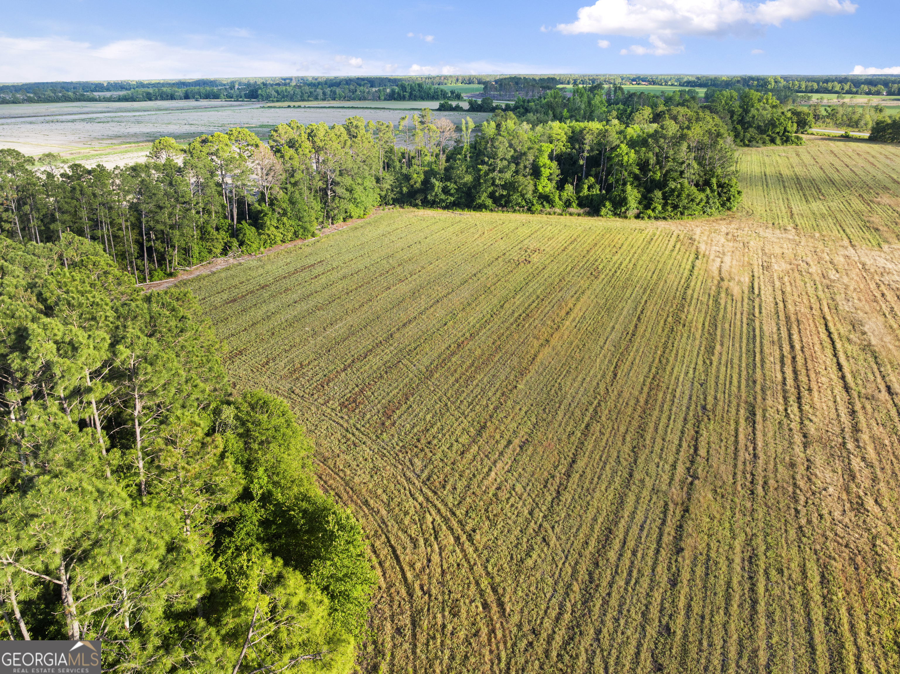 0 Douglas Highway Property Photo 25
