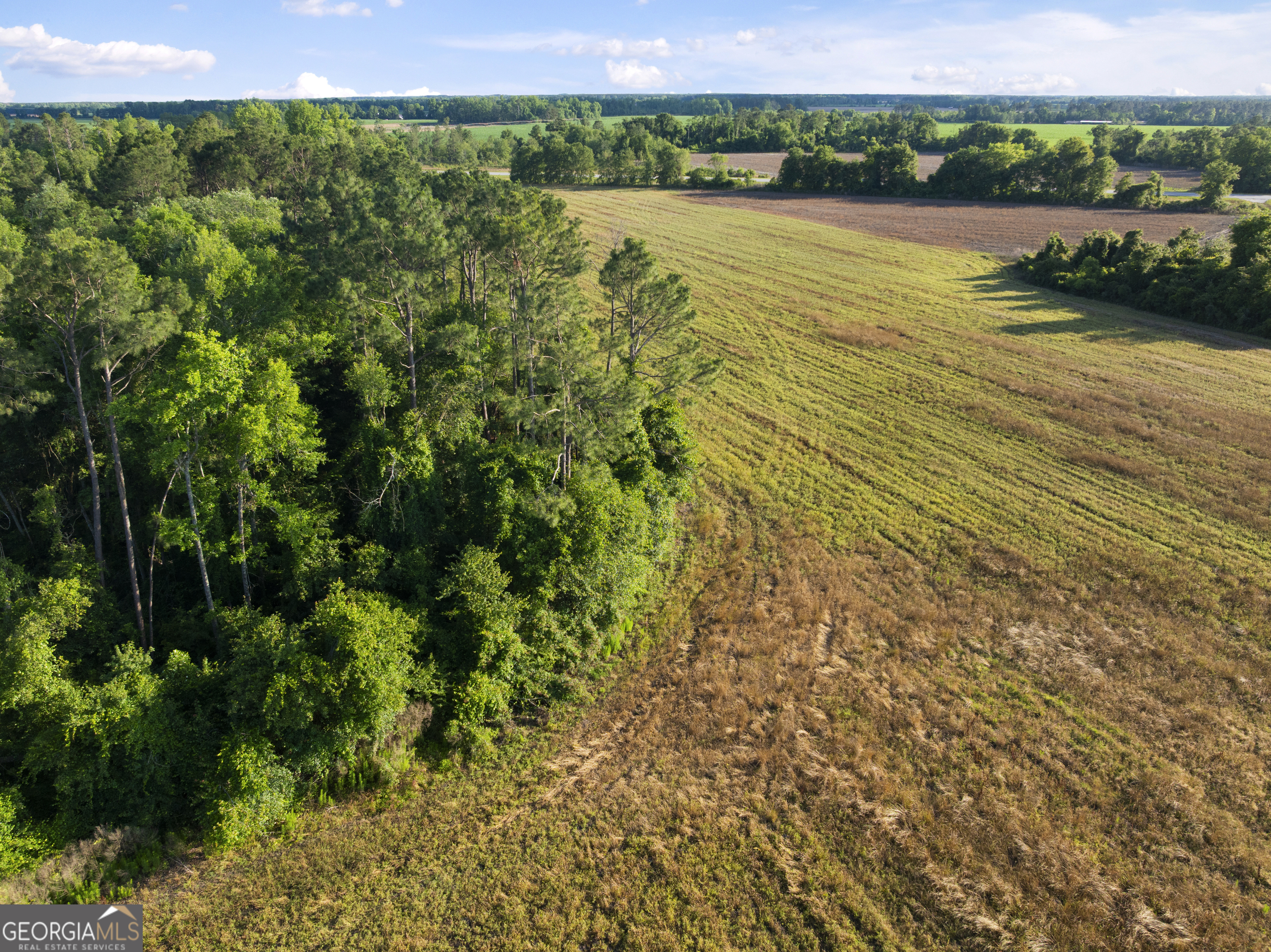 0 Douglas Highway Property Photo 28