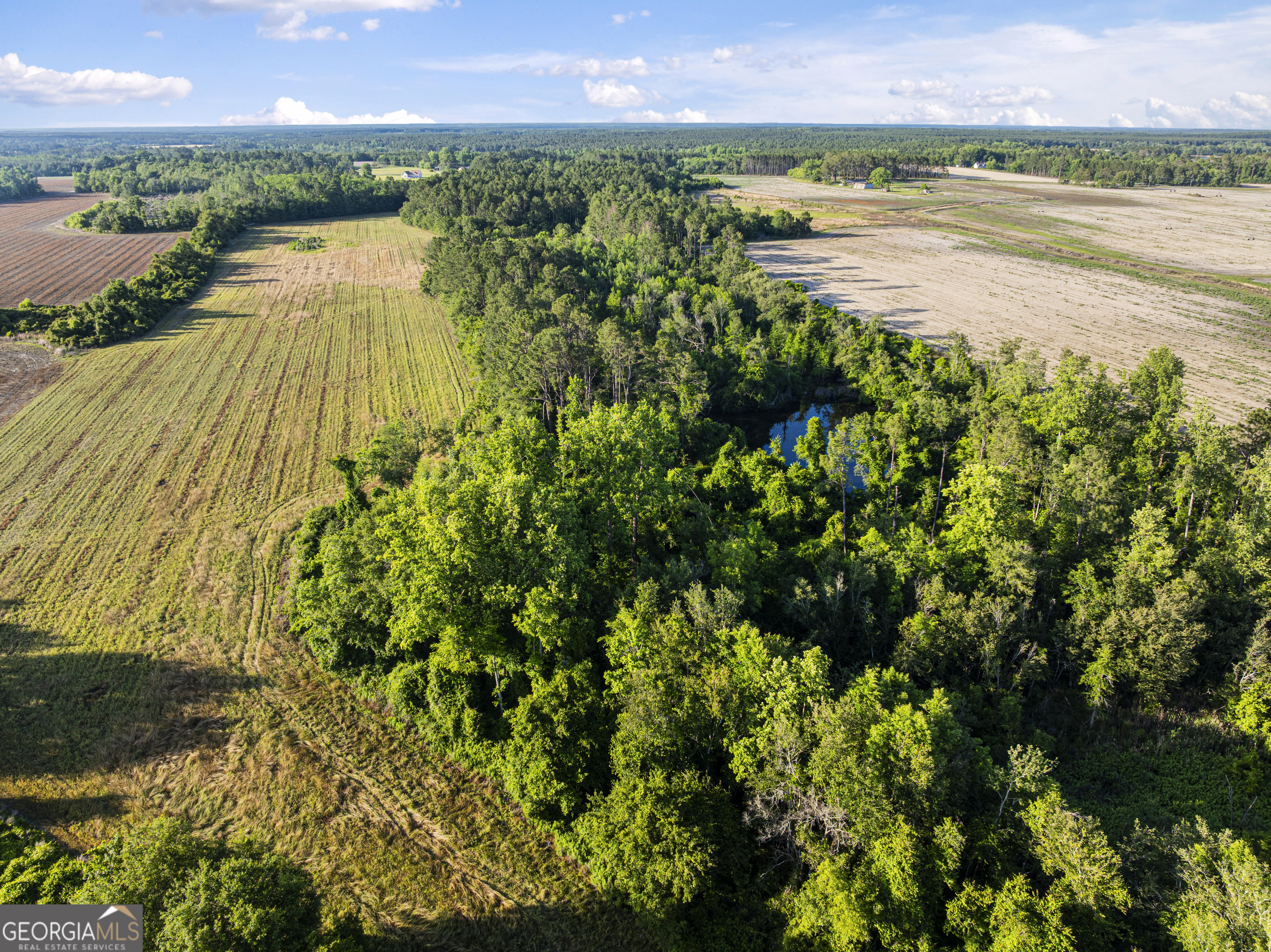 0 Douglas Highway Property Photo 31