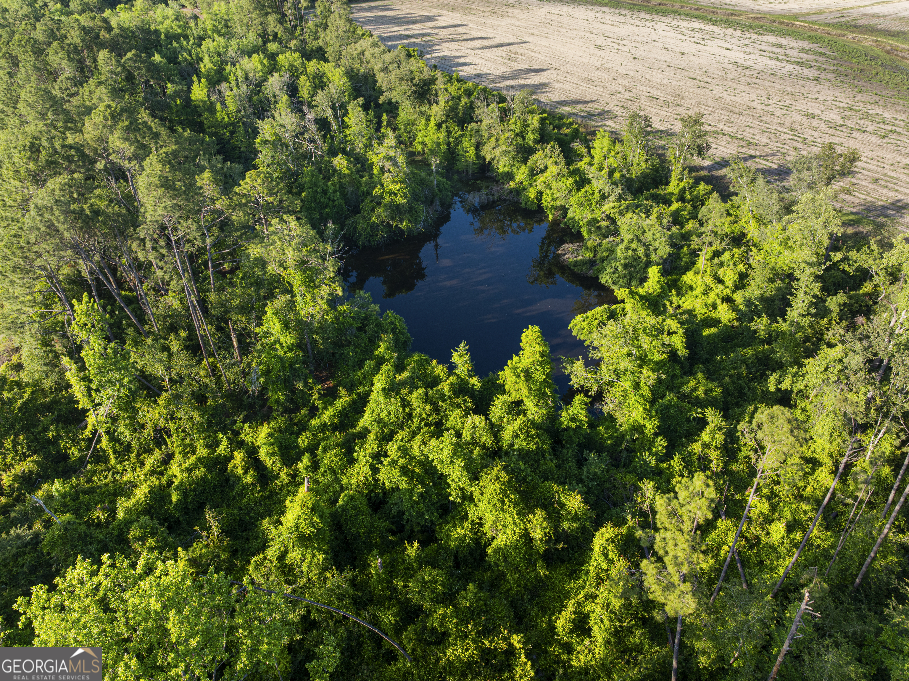 0 Douglas Highway Property Photo 32
