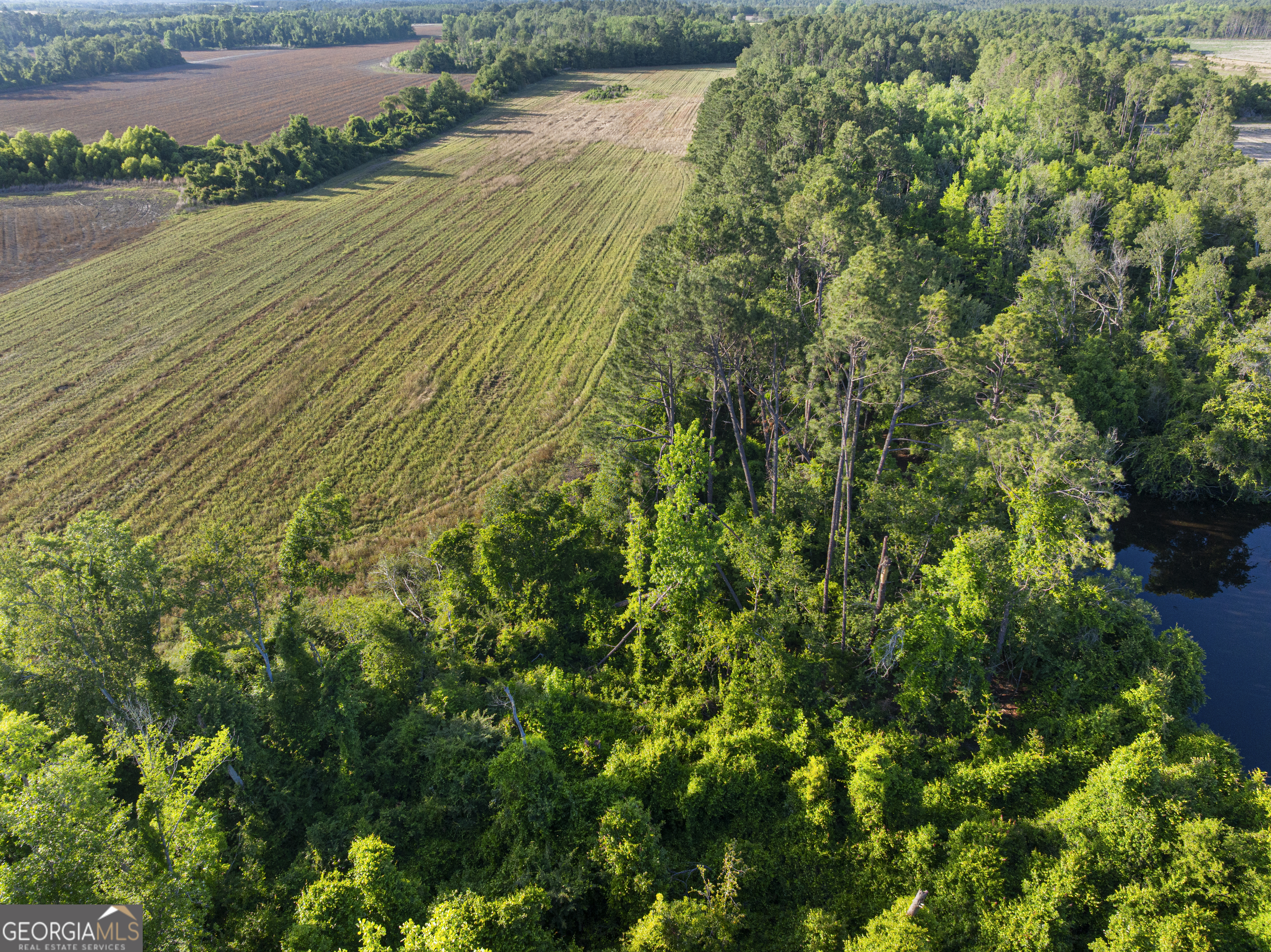 0 Douglas Highway Property Photo 34