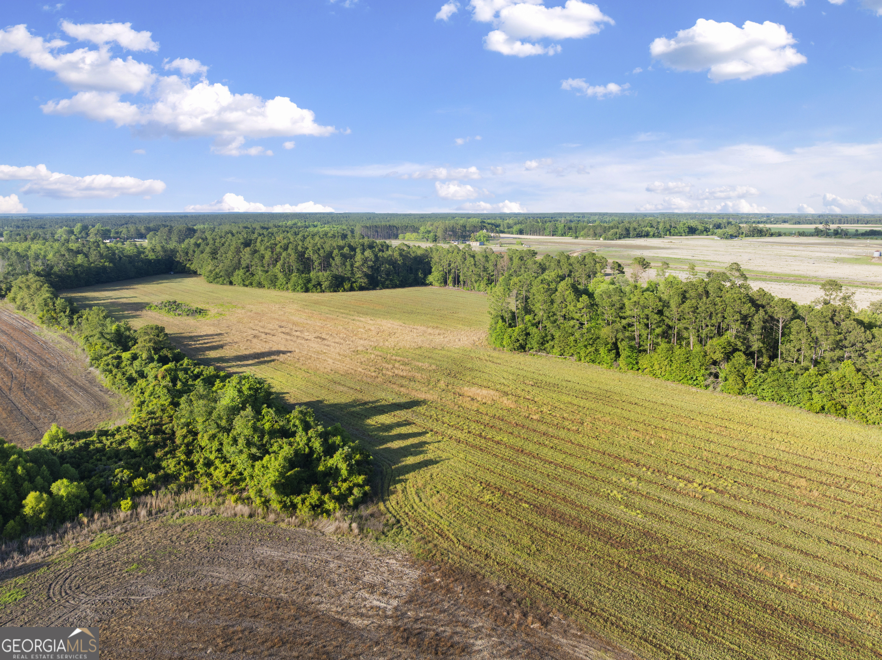 0 Douglas Highway Property Photo 35